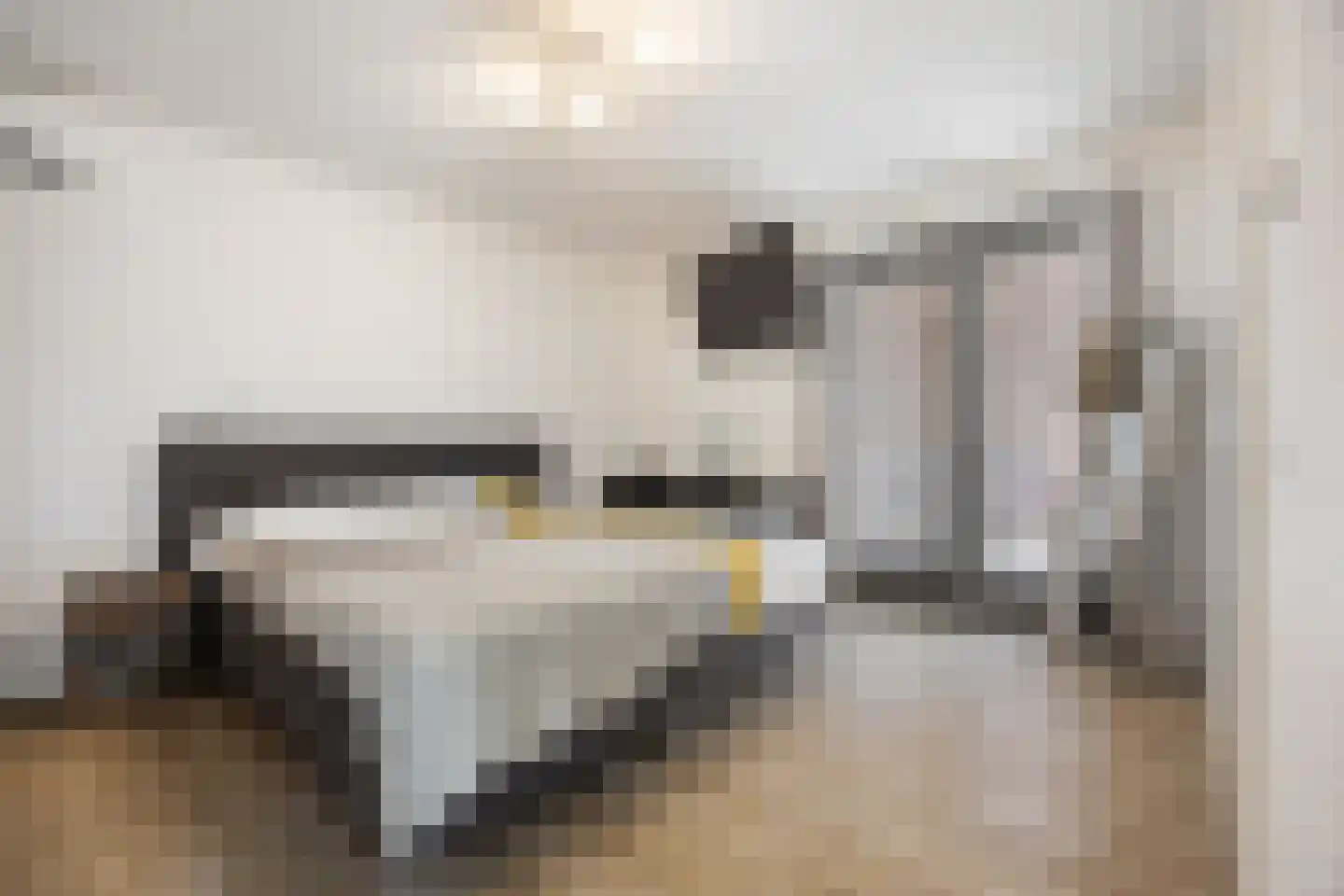 Goudreinette 13 Lith thumbnail 25