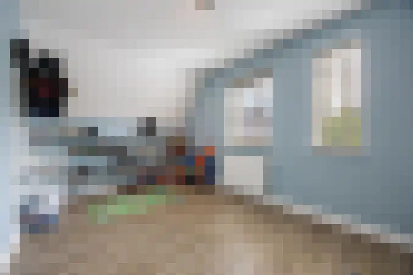 Goudreinette 13 Lith thumbnail 31