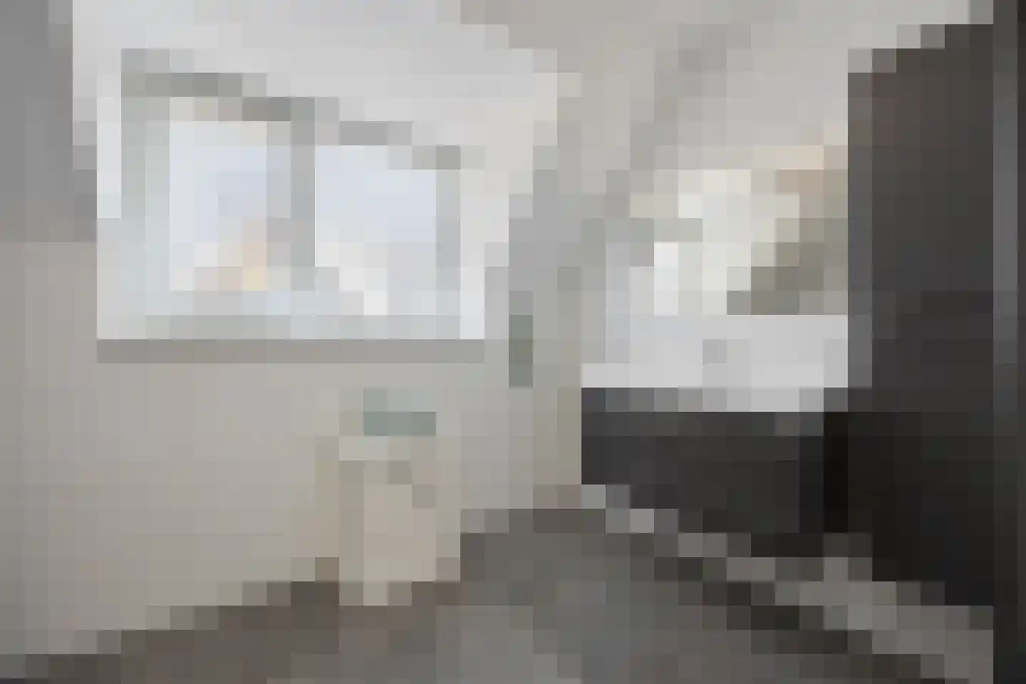 Goudreinette 13 Lith thumbnail 33