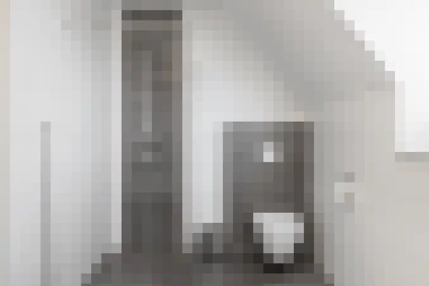 Goudreinette 13 Lith thumbnail 34