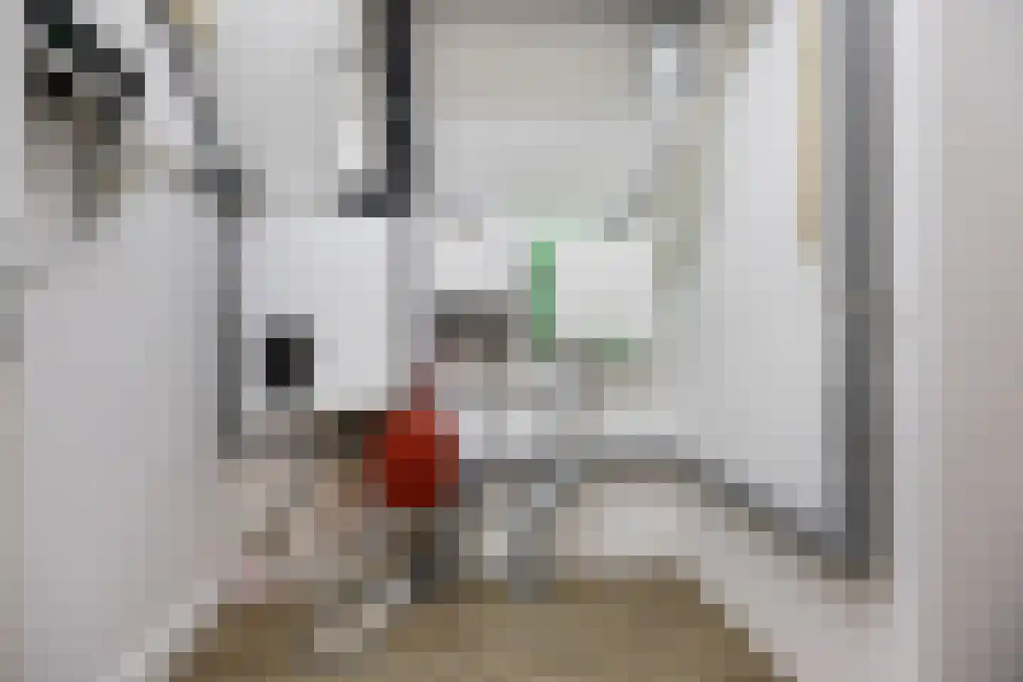 Goudreinette 13 Lith thumbnail 39