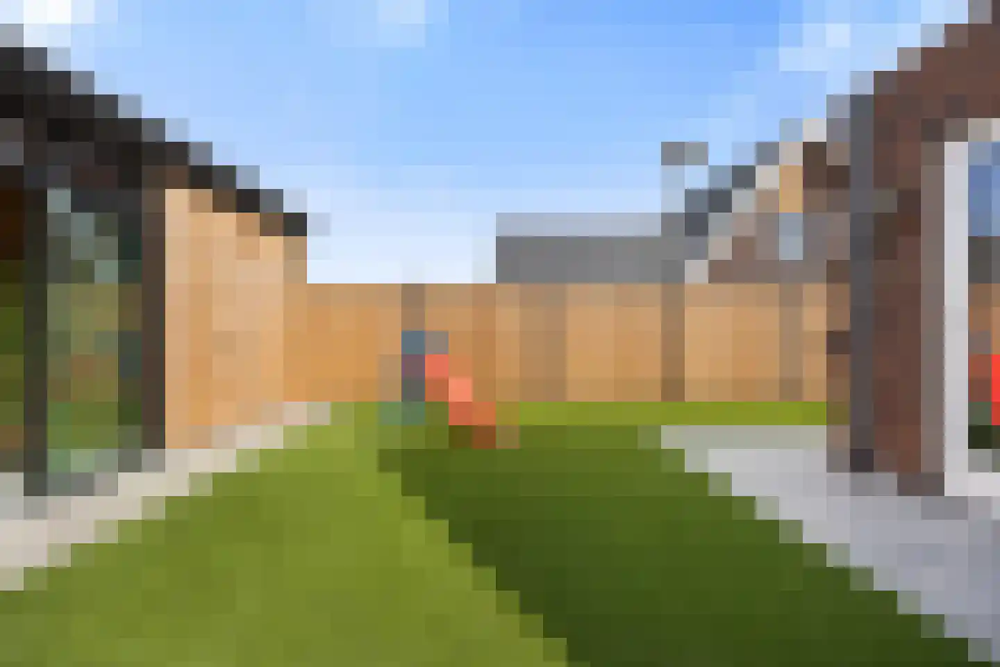 Goudreinette 13 Lith thumbnail 40