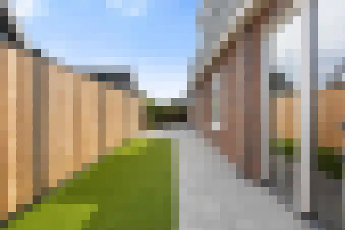 Goudreinette 13 Lith thumbnail 45
