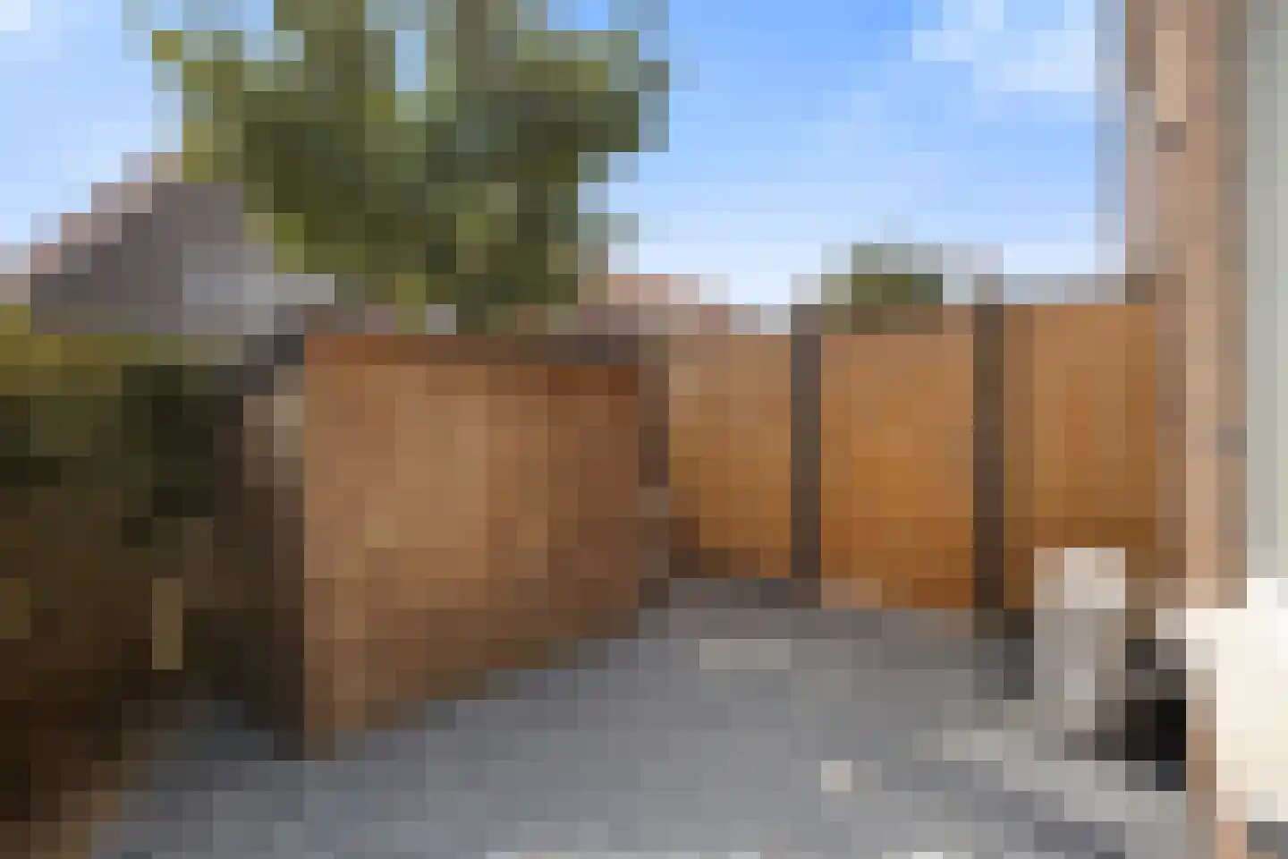 Goudreinette 13 Lith thumbnail 47