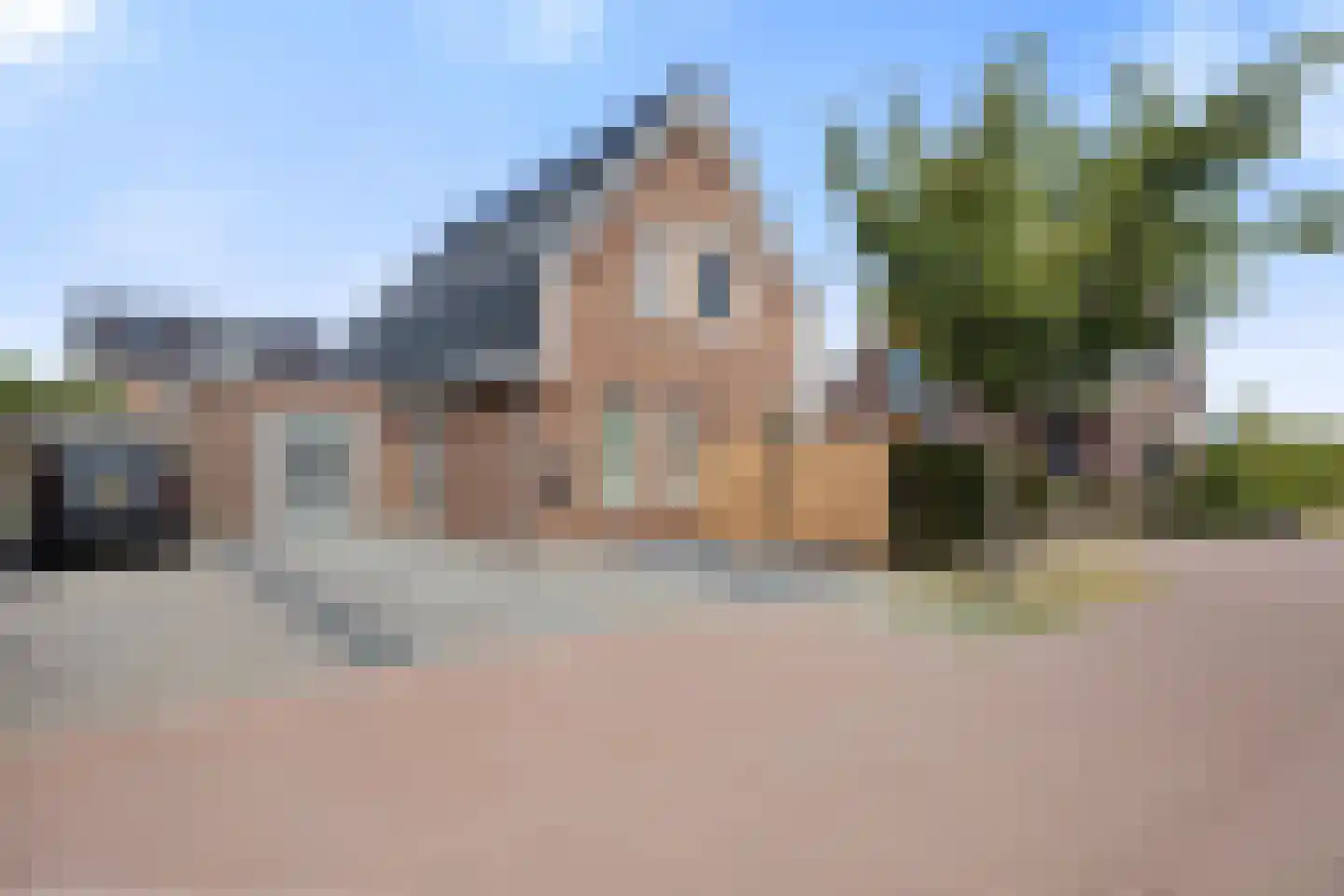 Goudreinette 13 Lith thumbnail 48