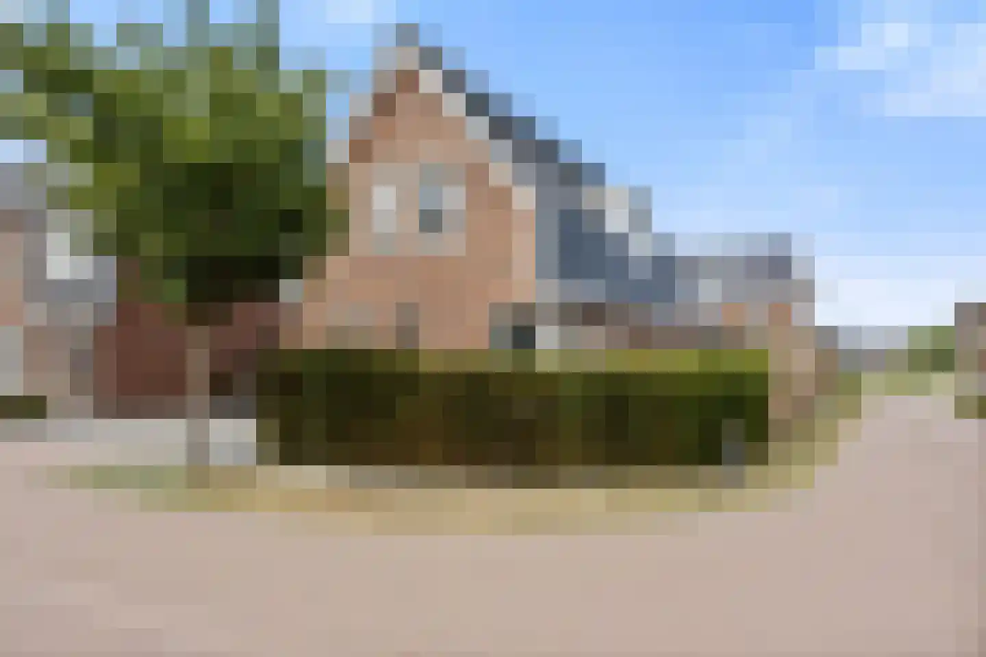 Goudreinette 13 Lith thumbnail 49