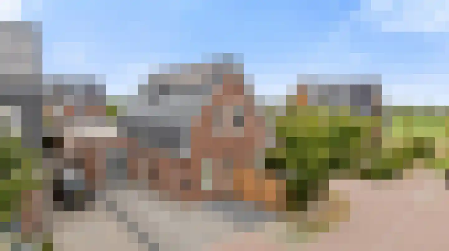 Goudreinette 13 Lith thumbnail 51