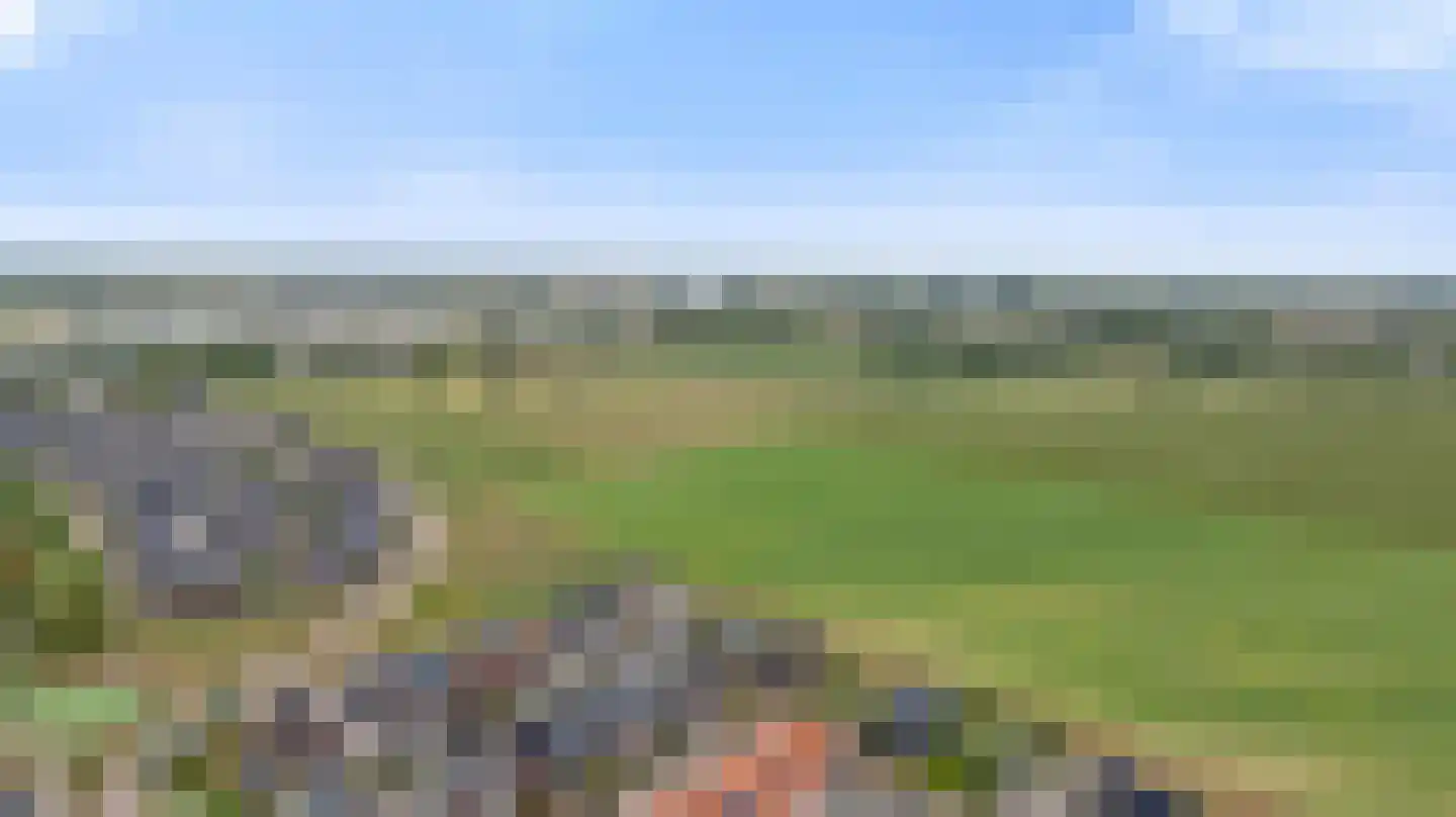 Goudreinette 13 Lith thumbnail 53