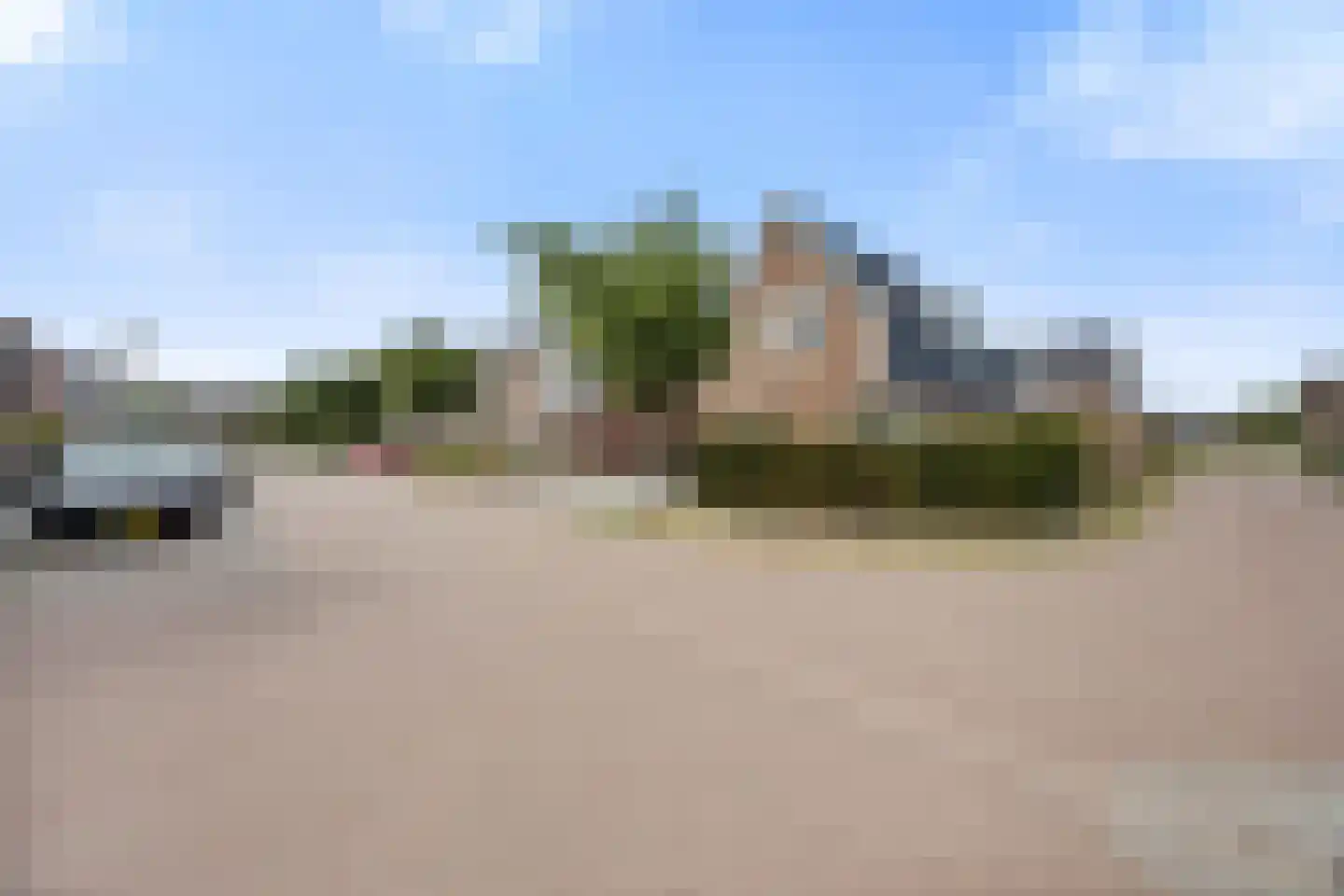 Goudreinette 13 Lith thumbnail 54