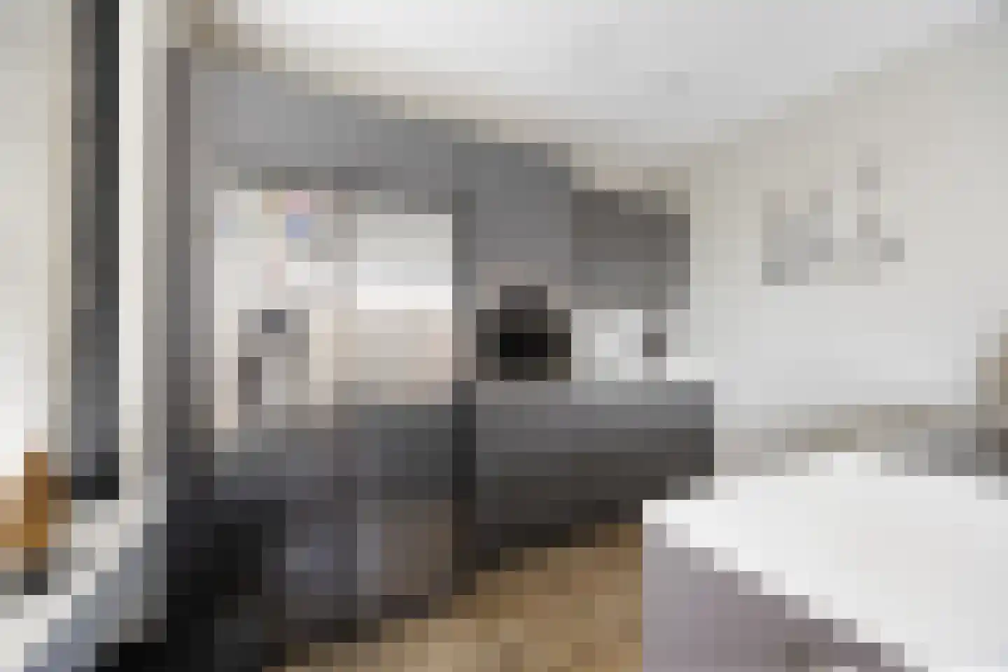 Goudreinette 13 Lith thumbnail 8