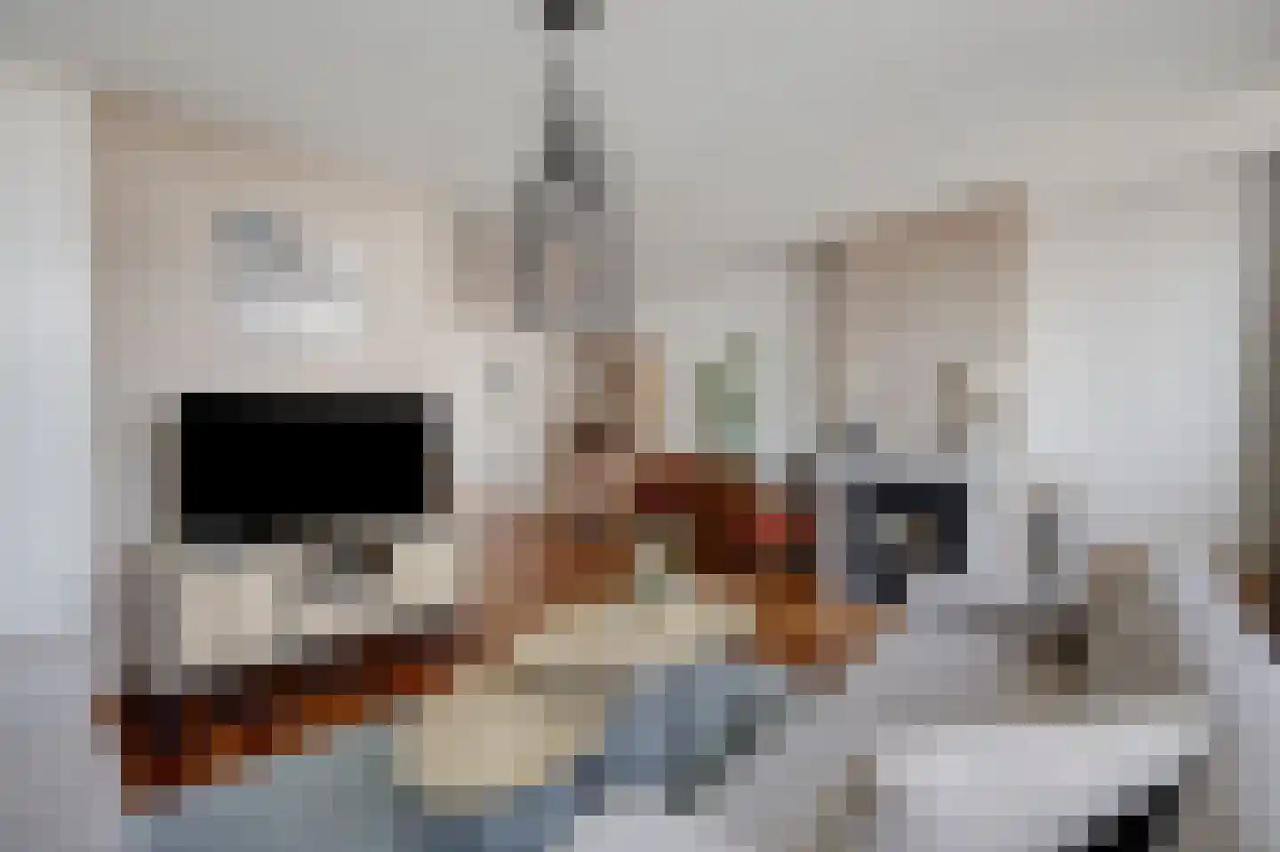 Goudreinette 16 Duiven thumbnail 12