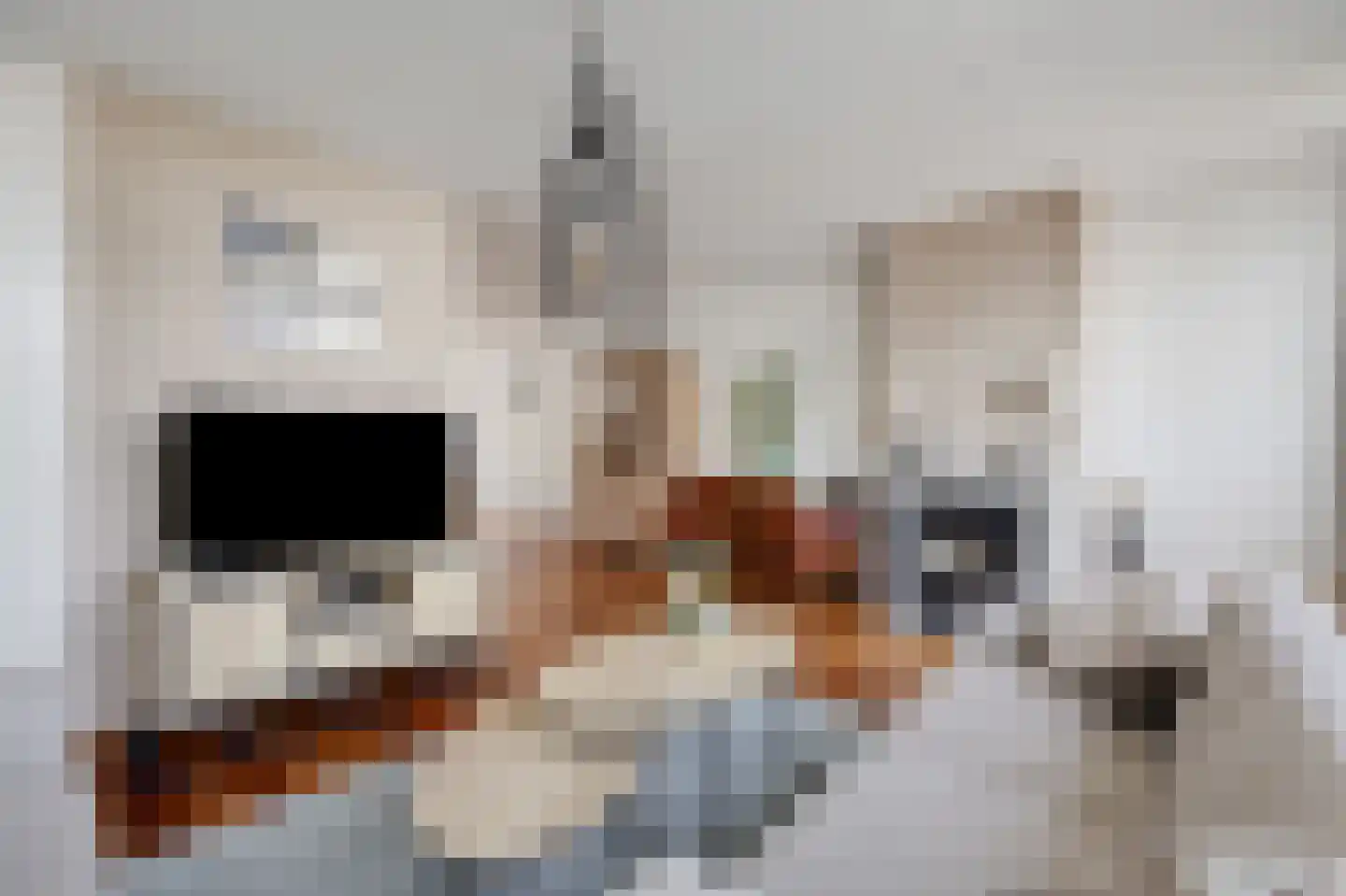 Goudreinette 16 Duiven thumbnail 13