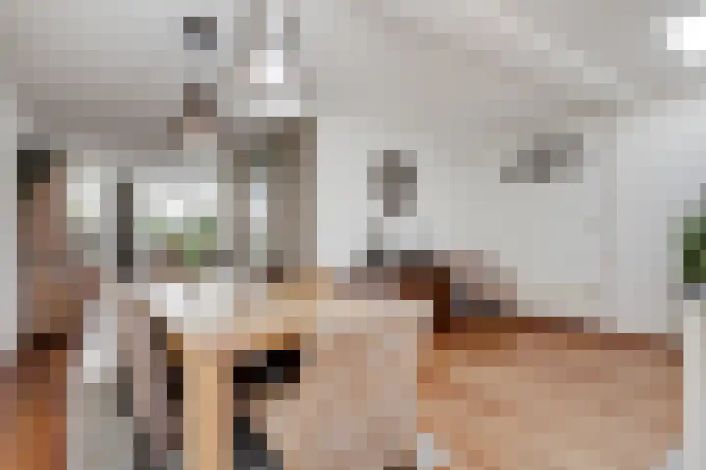 Goudreinette 16 Duiven thumbnail 17