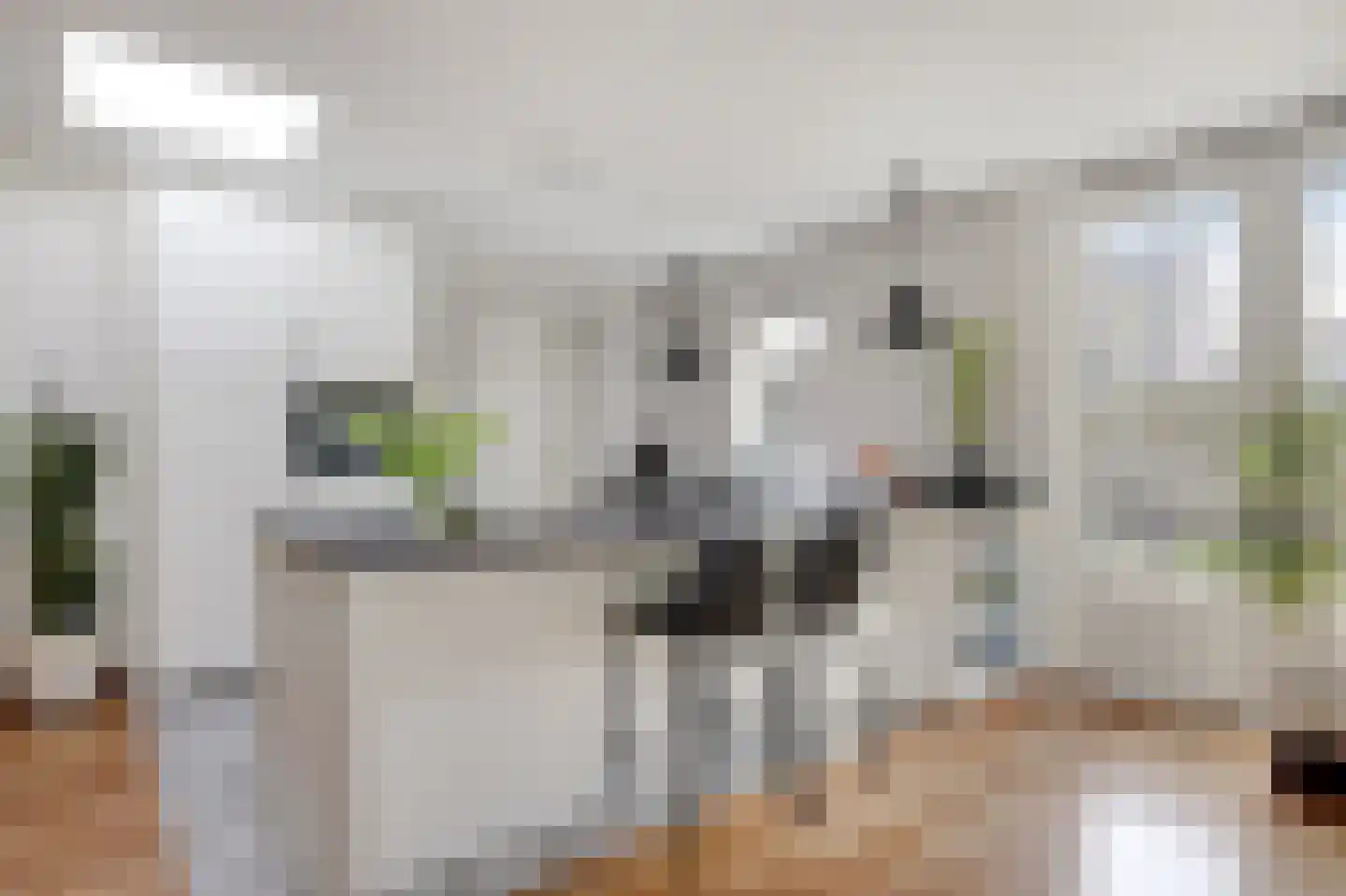 Goudreinette 16 Duiven thumbnail 20