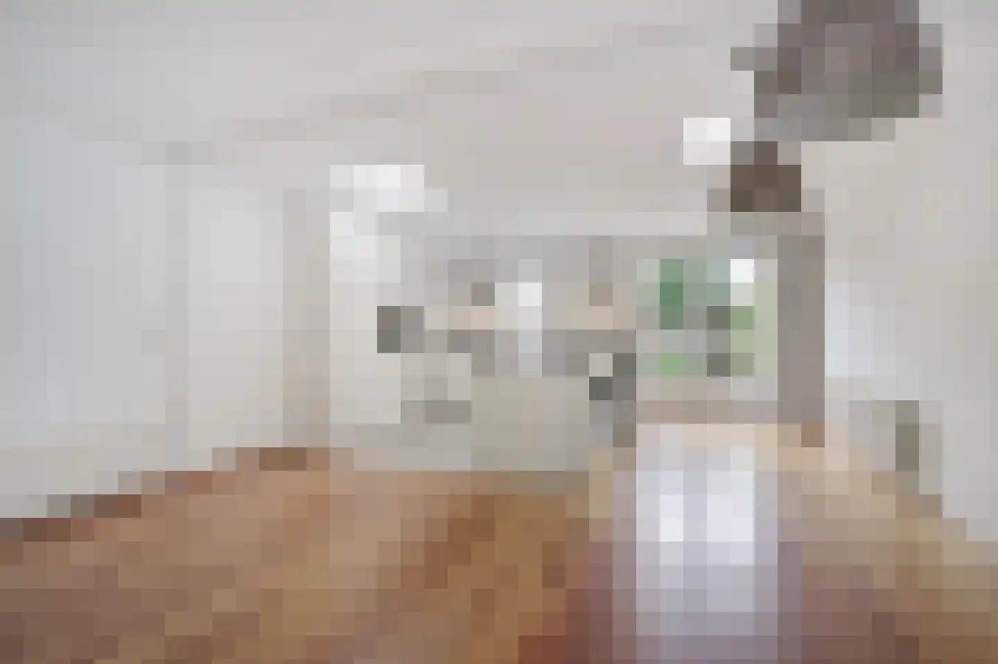 Goudreinette 16 Duiven thumbnail 20