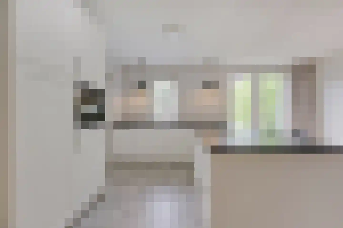 Goudreinette 16 Duiven thumbnail 23