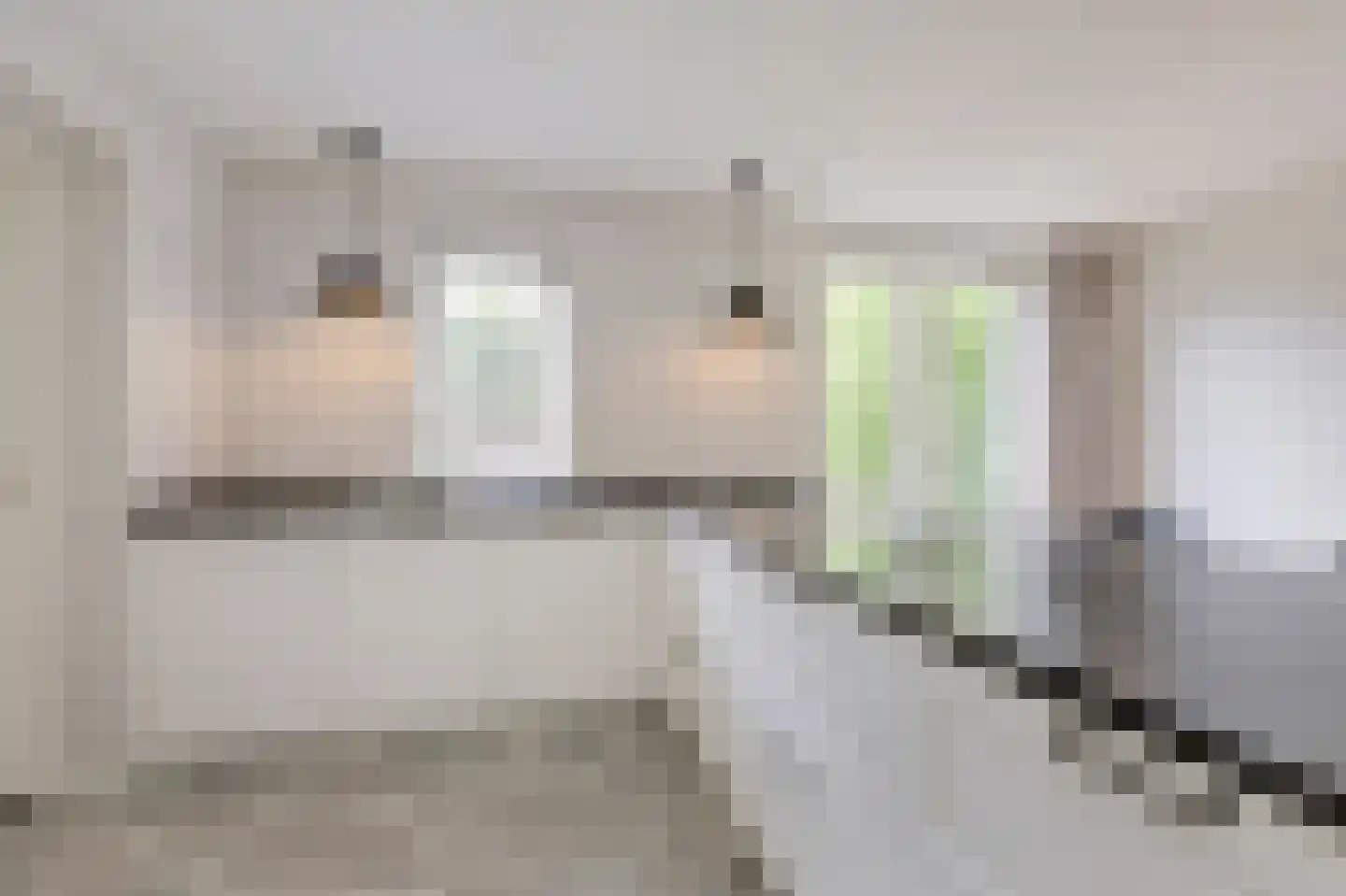 Goudreinette 16 Duiven thumbnail 24