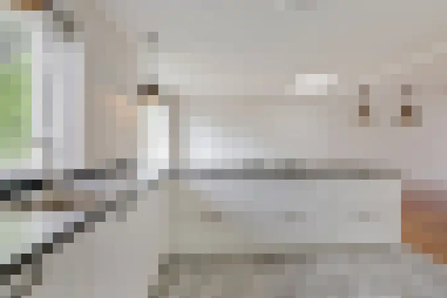 Goudreinette 16 Duiven thumbnail 25