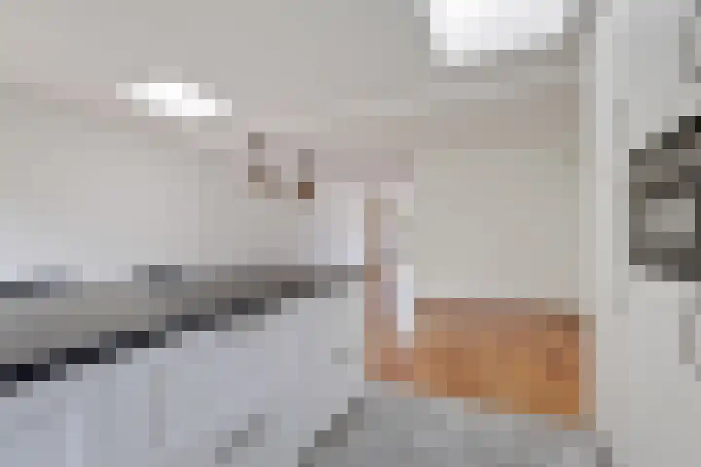 Goudreinette 16 Duiven thumbnail 26