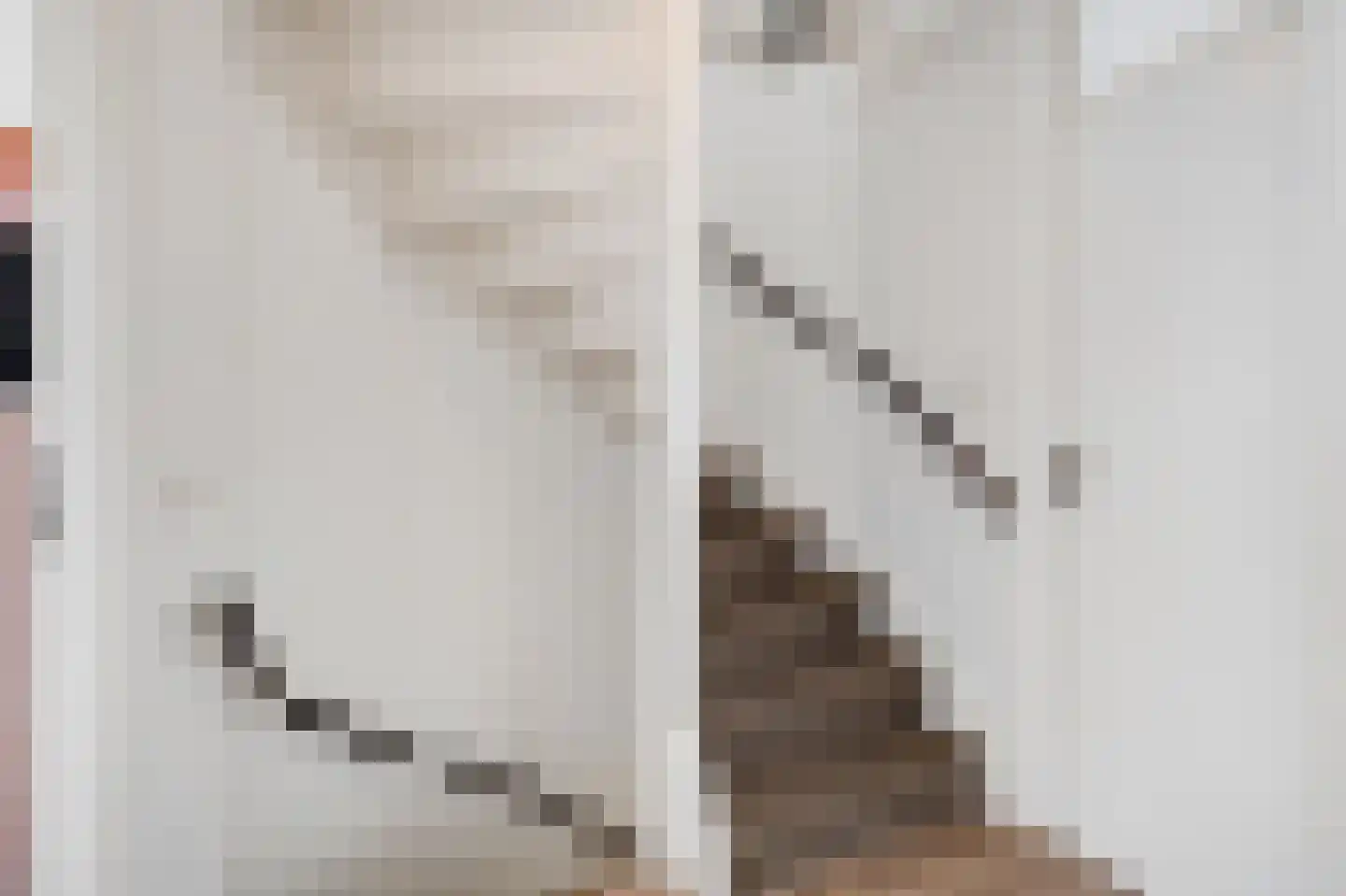 Goudreinette 16 Duiven thumbnail 28