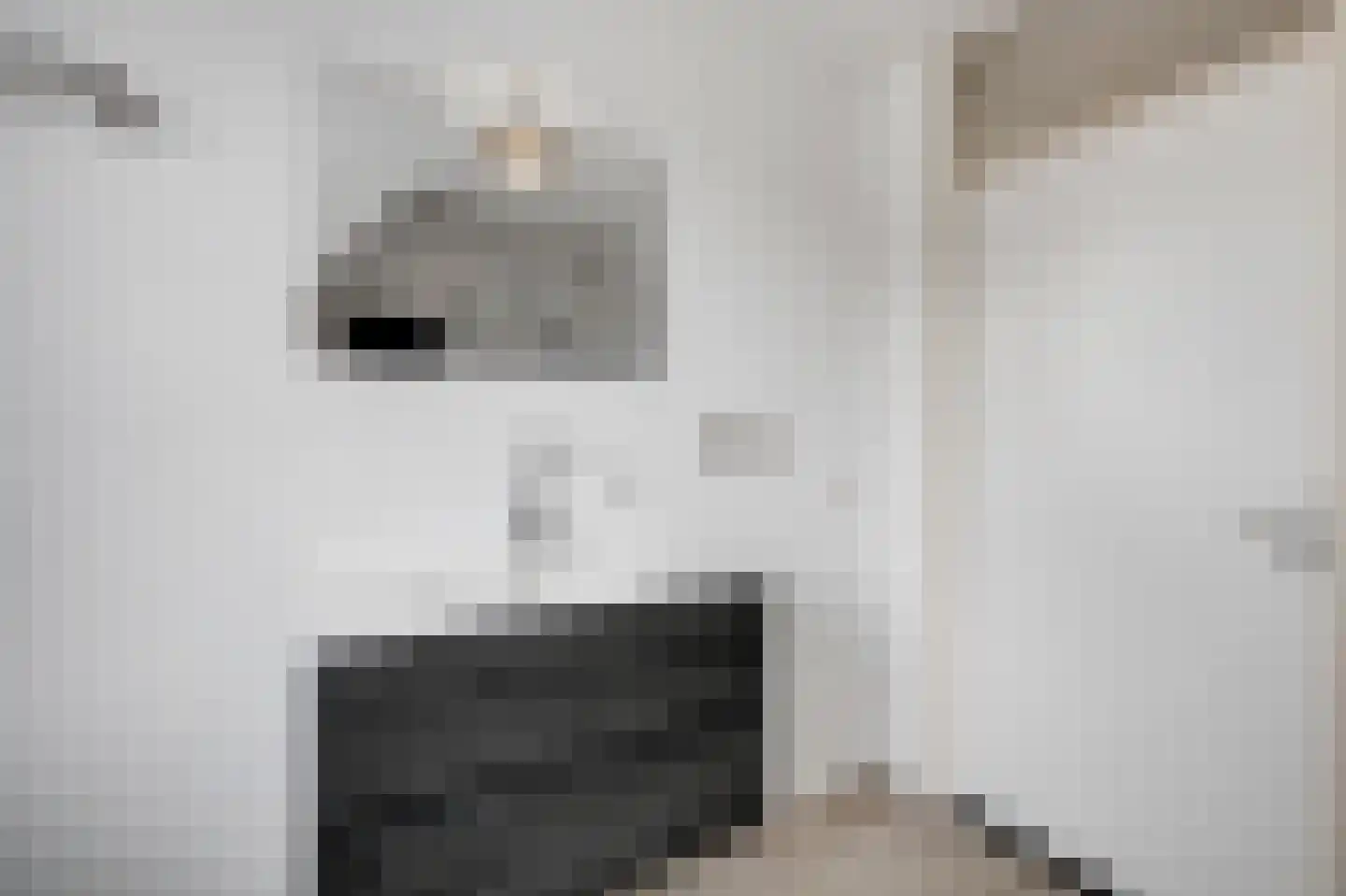 Goudreinette 16 Duiven thumbnail 35