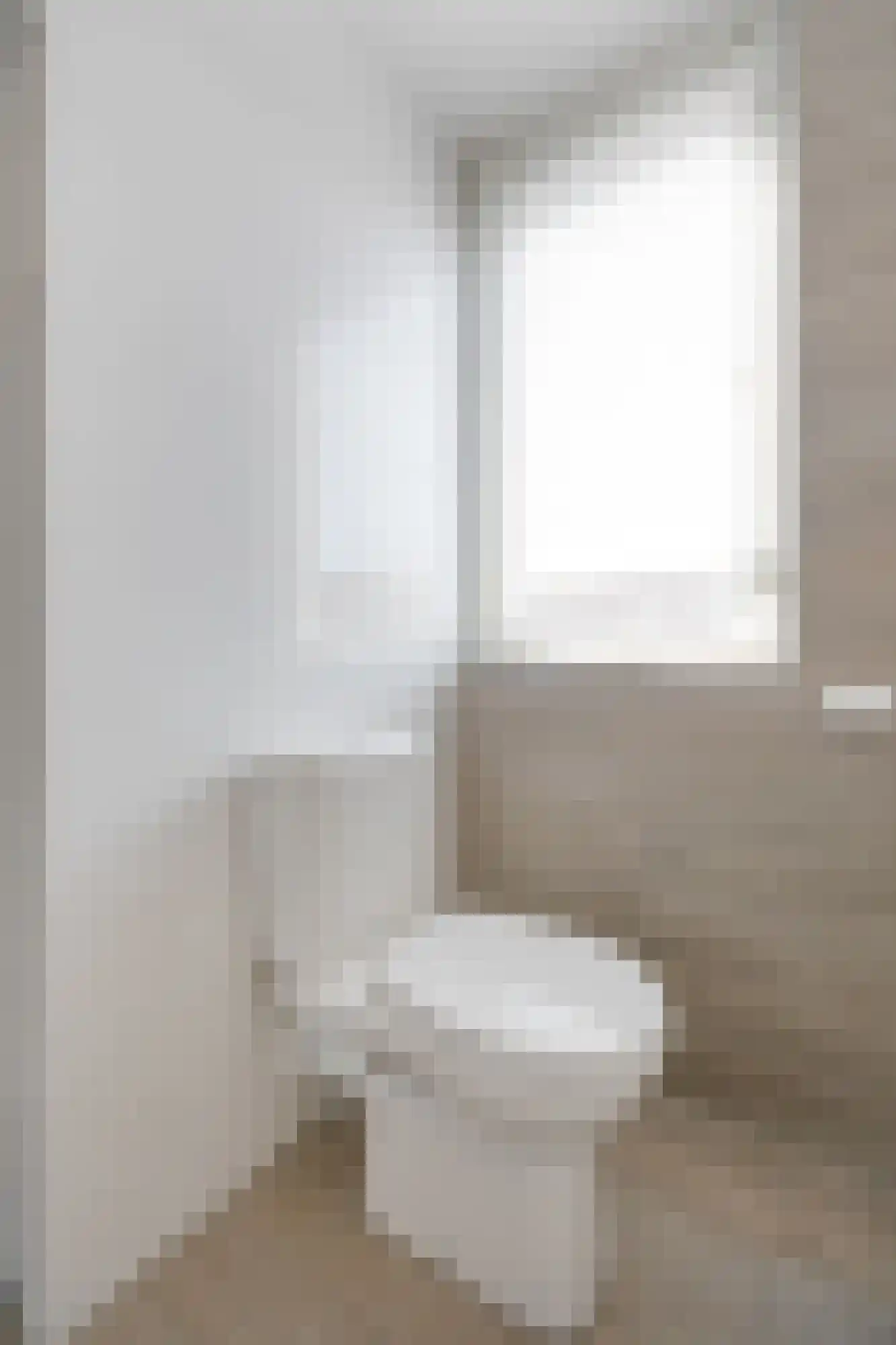 Goudreinette 16 Duiven thumbnail 37