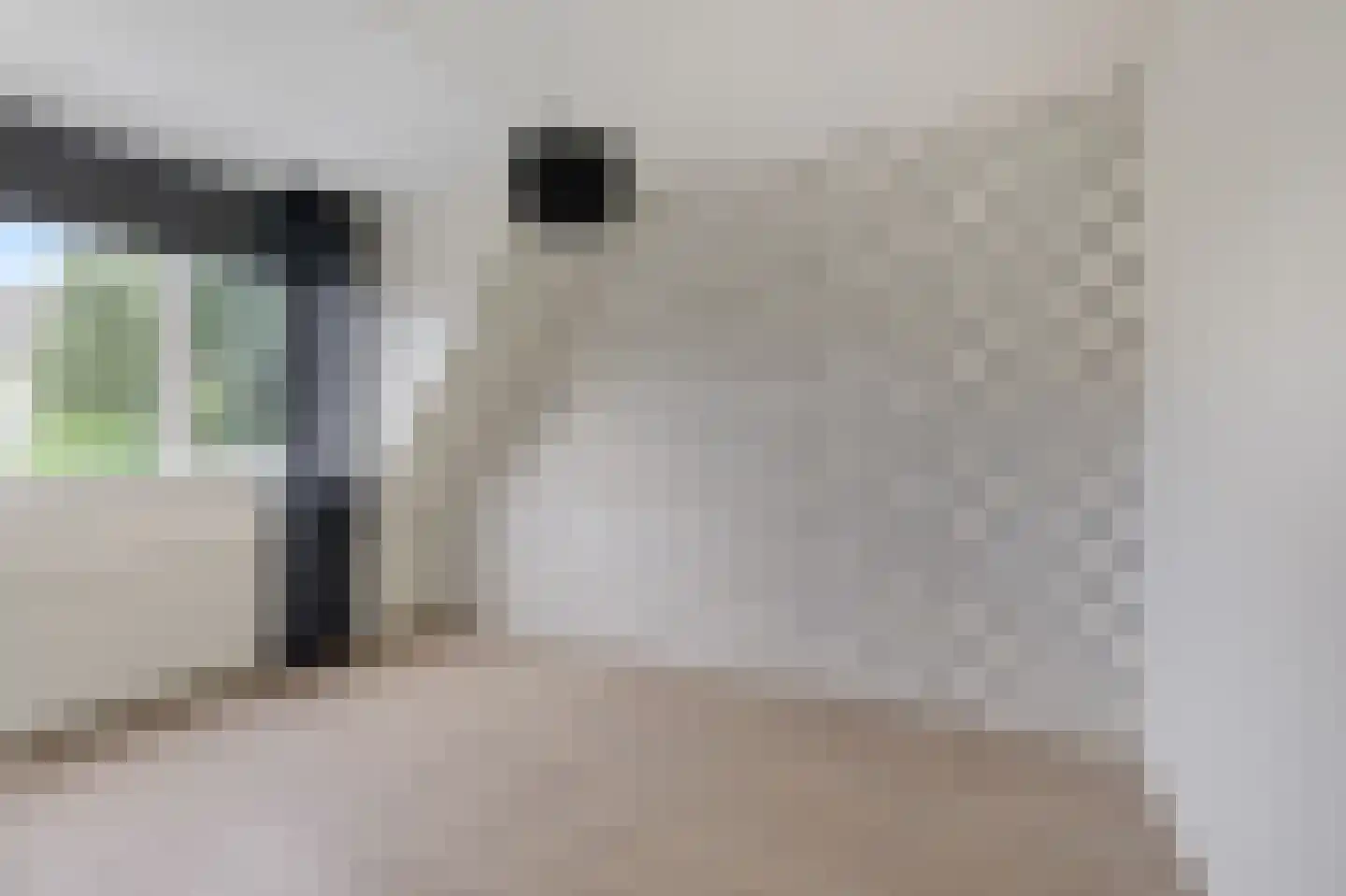 Goudreinette 16 Duiven thumbnail 38