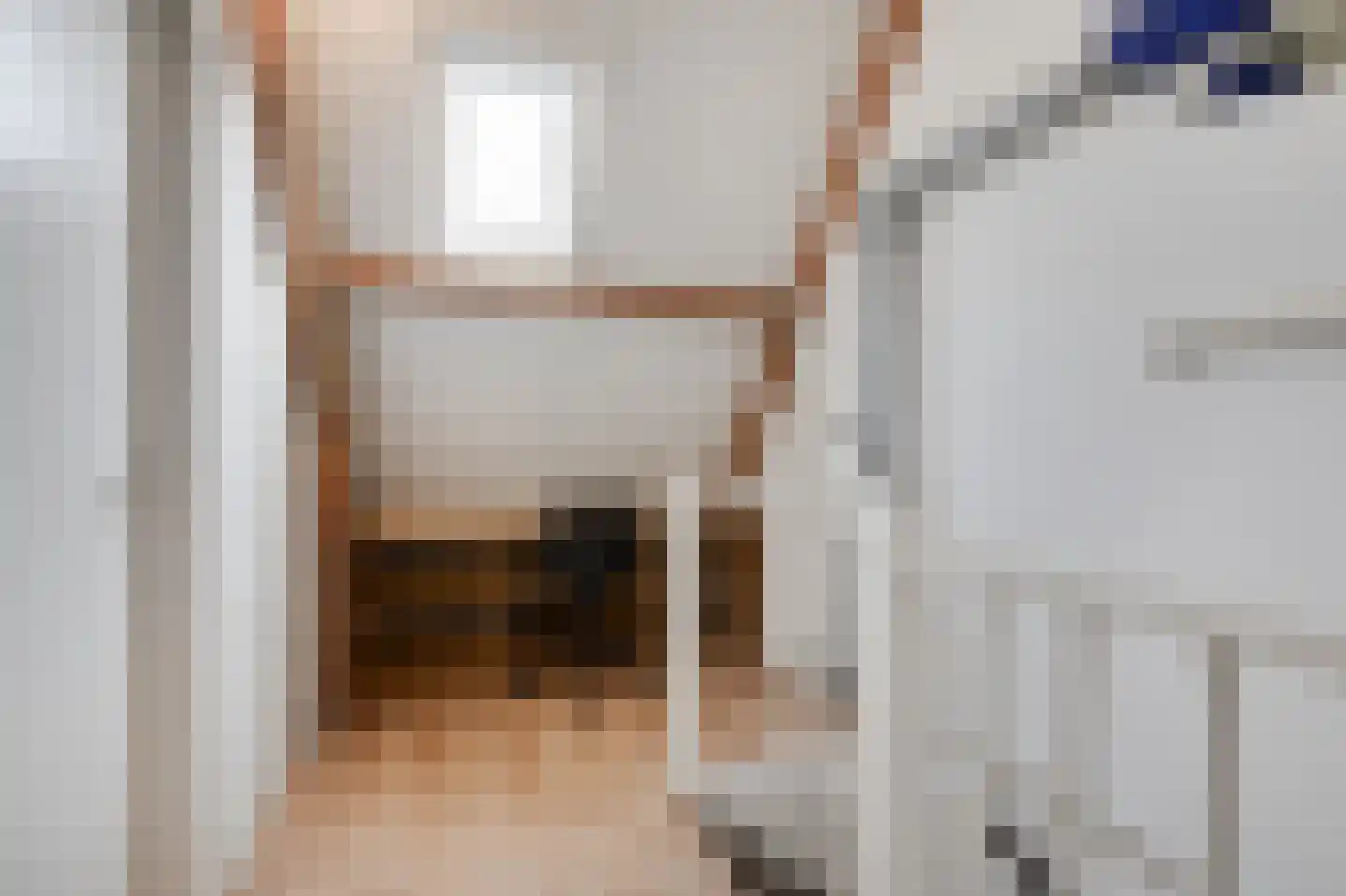 Goudreinette 16 Duiven thumbnail 39