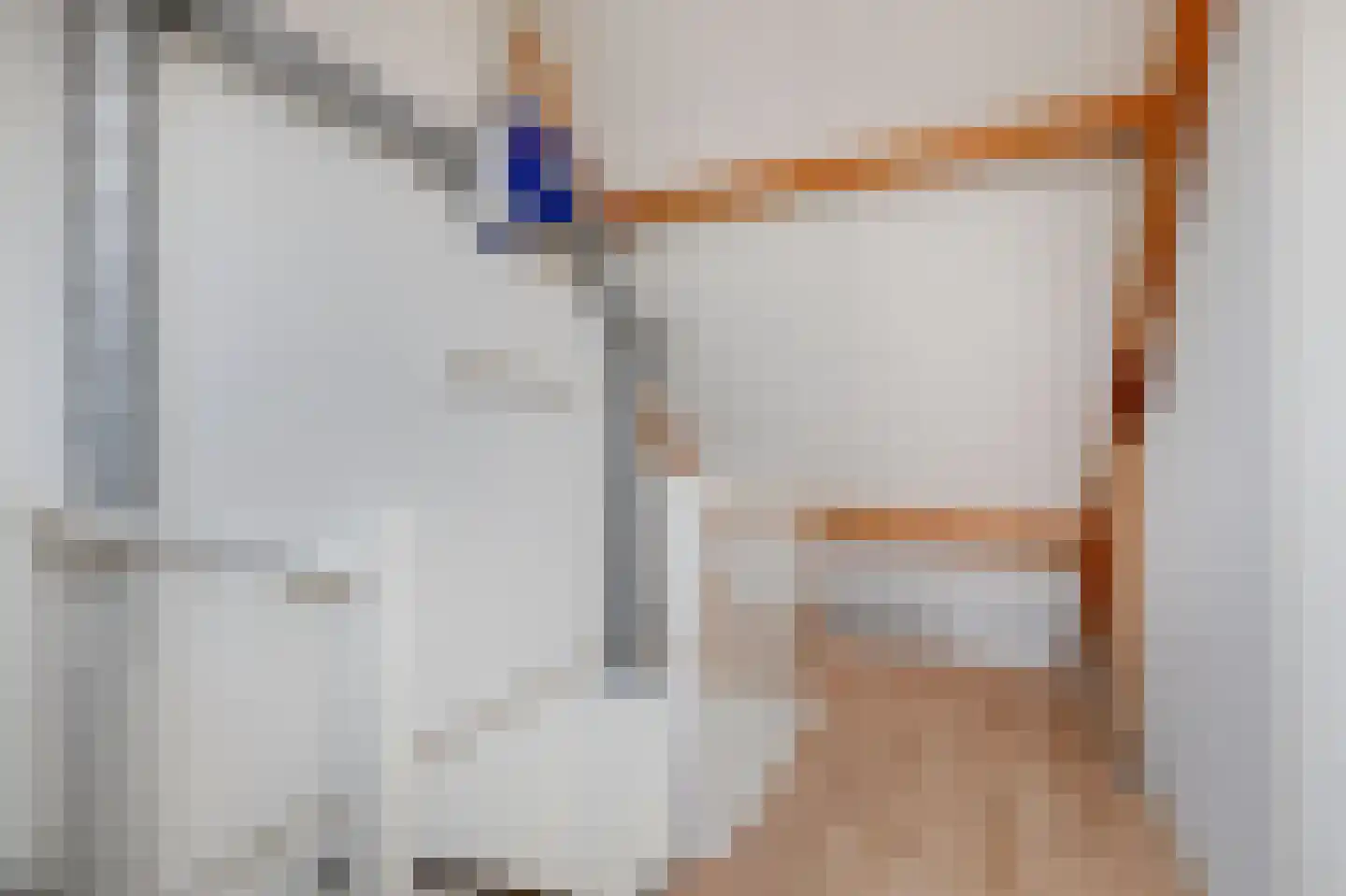 Goudreinette 16 Duiven thumbnail 40