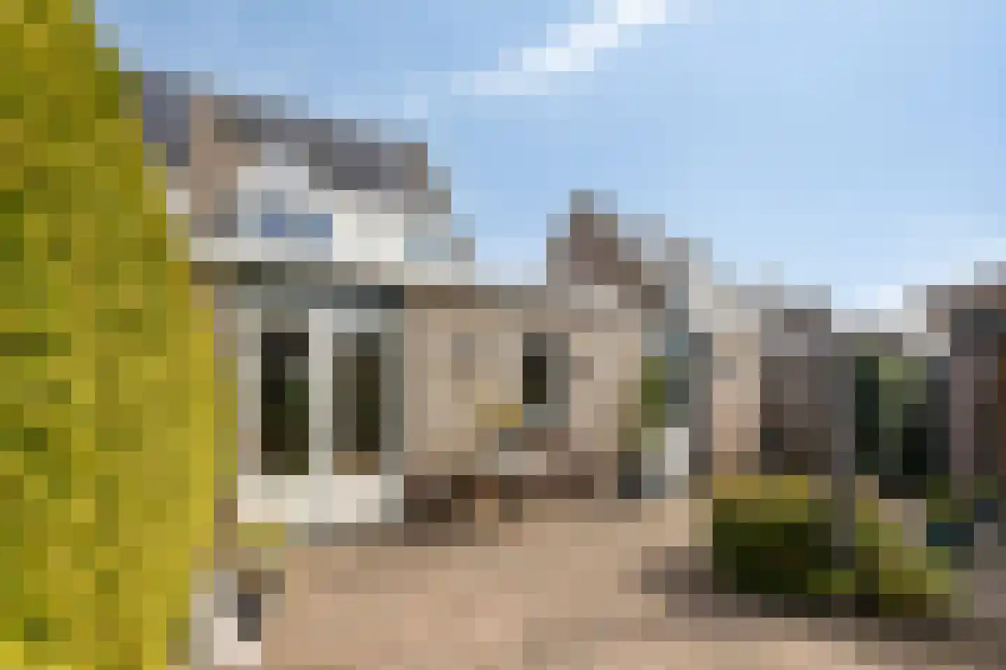 Goudreinette 16 Duiven thumbnail 43