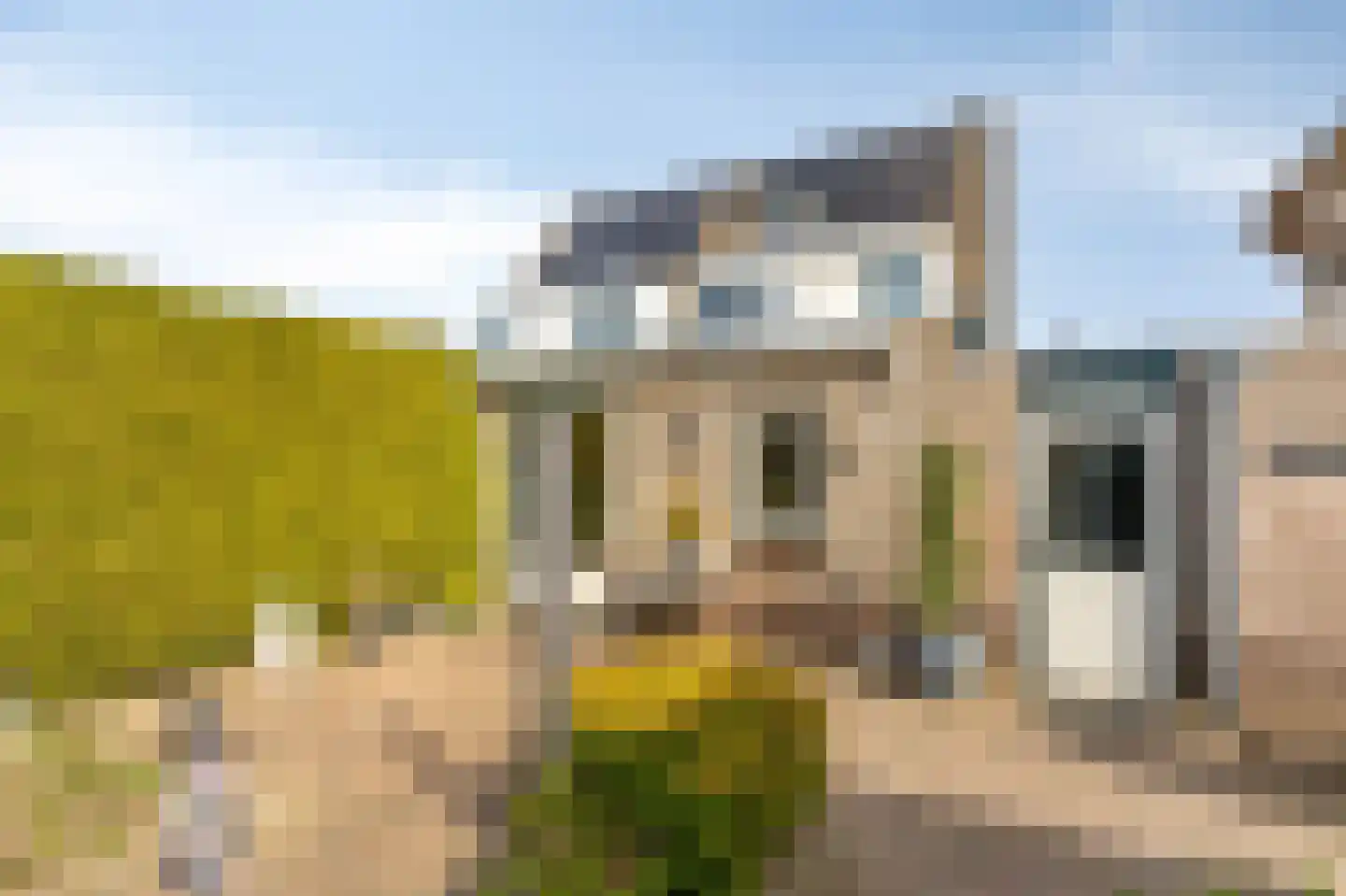 Goudreinette 16 Duiven thumbnail 44