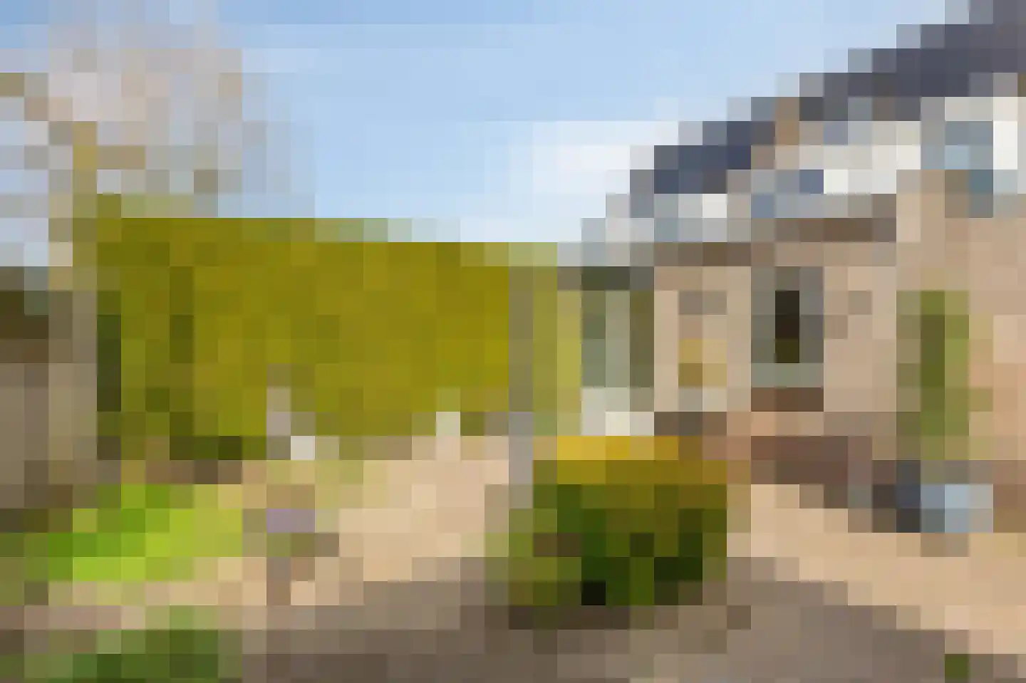 Goudreinette 16 Duiven thumbnail 45