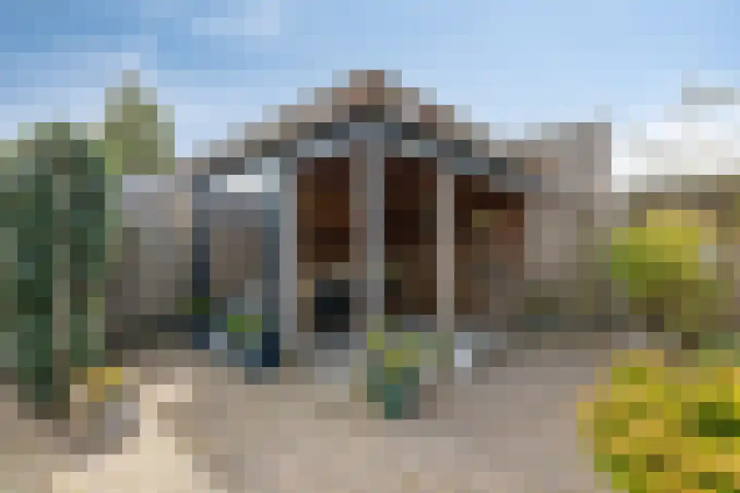 Goudreinette 16 Duiven thumbnail 48