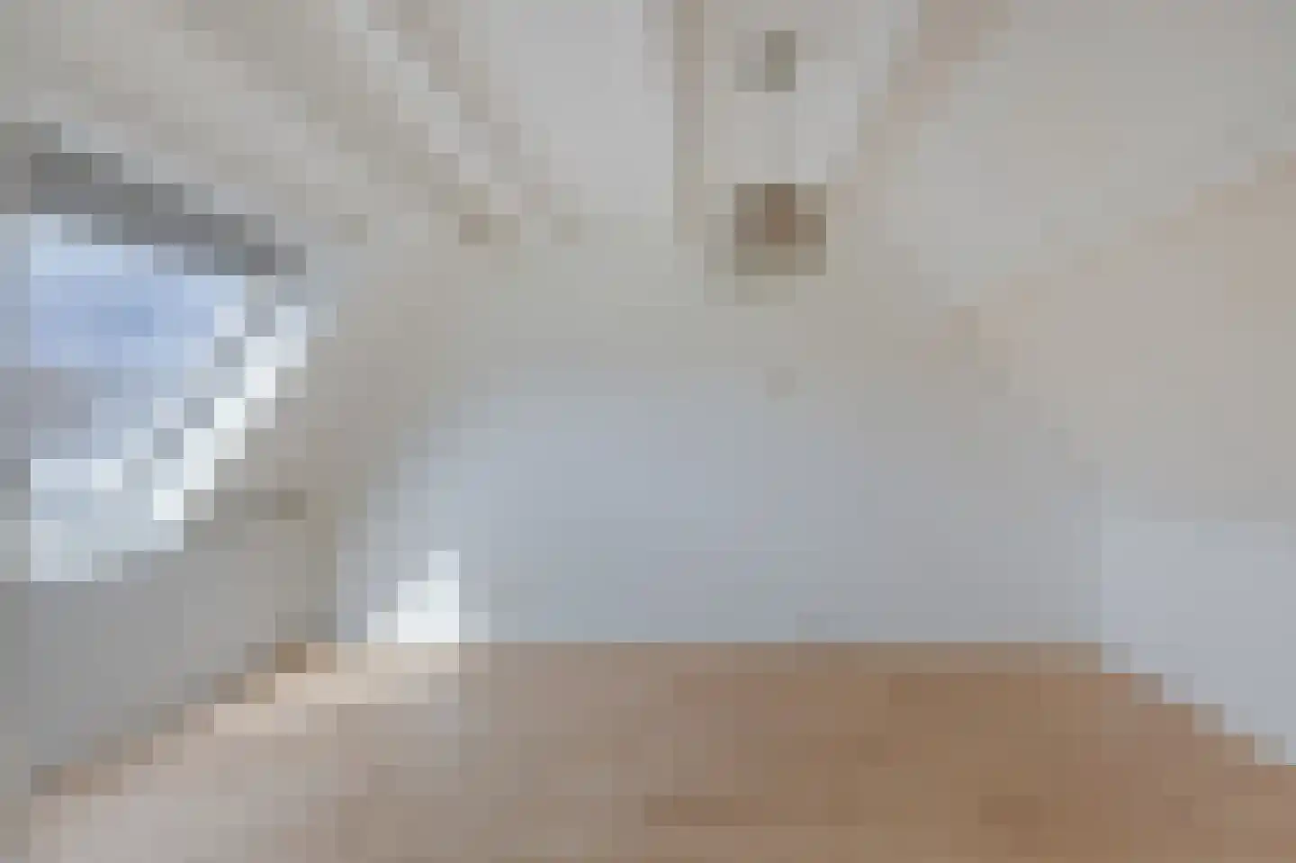 Goudreinette 16 Duiven thumbnail 56