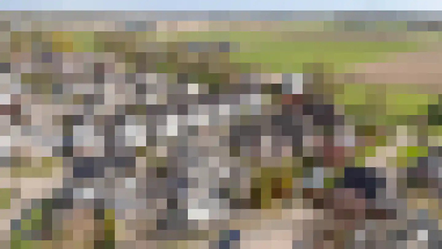 Goudreinette 16 Duiven thumbnail 57