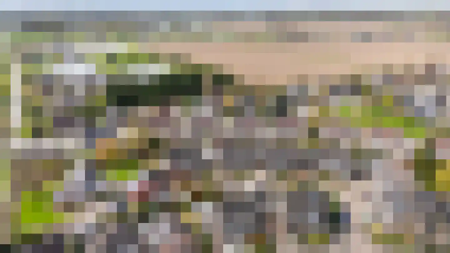 Goudreinette 16 Duiven thumbnail 58