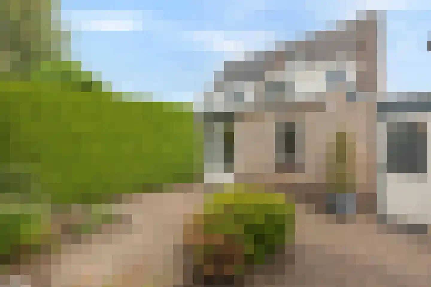 Goudreinette 16 Duiven thumbnail 59