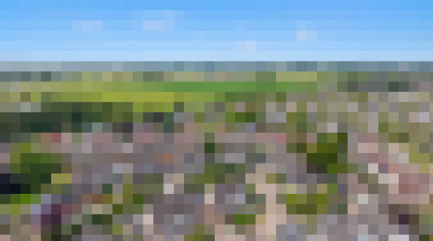 Goudreinette 16 Duiven thumbnail 6