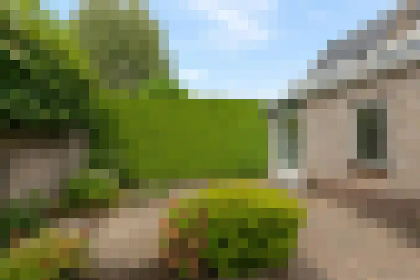 Goudreinette 16 Duiven thumbnail 60