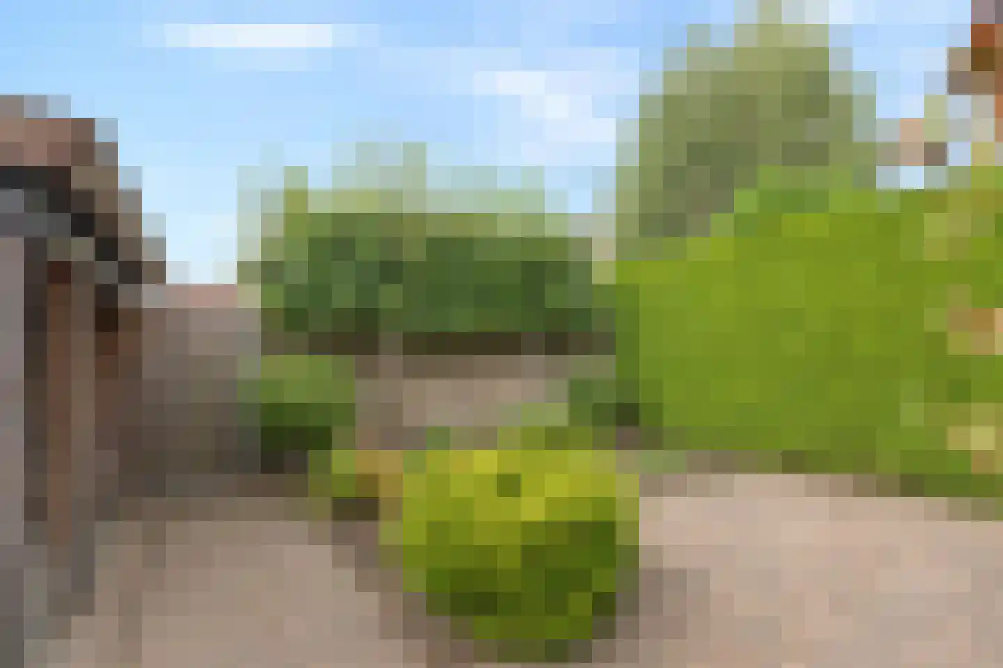 Goudreinette 16 Duiven thumbnail 61