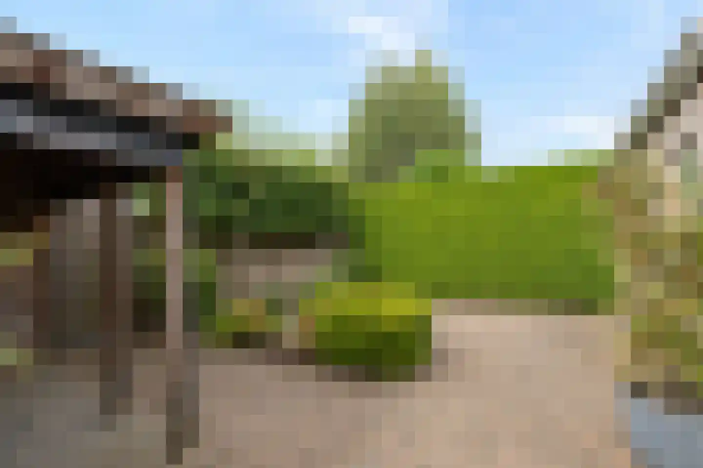 Goudreinette 16 Duiven thumbnail 62