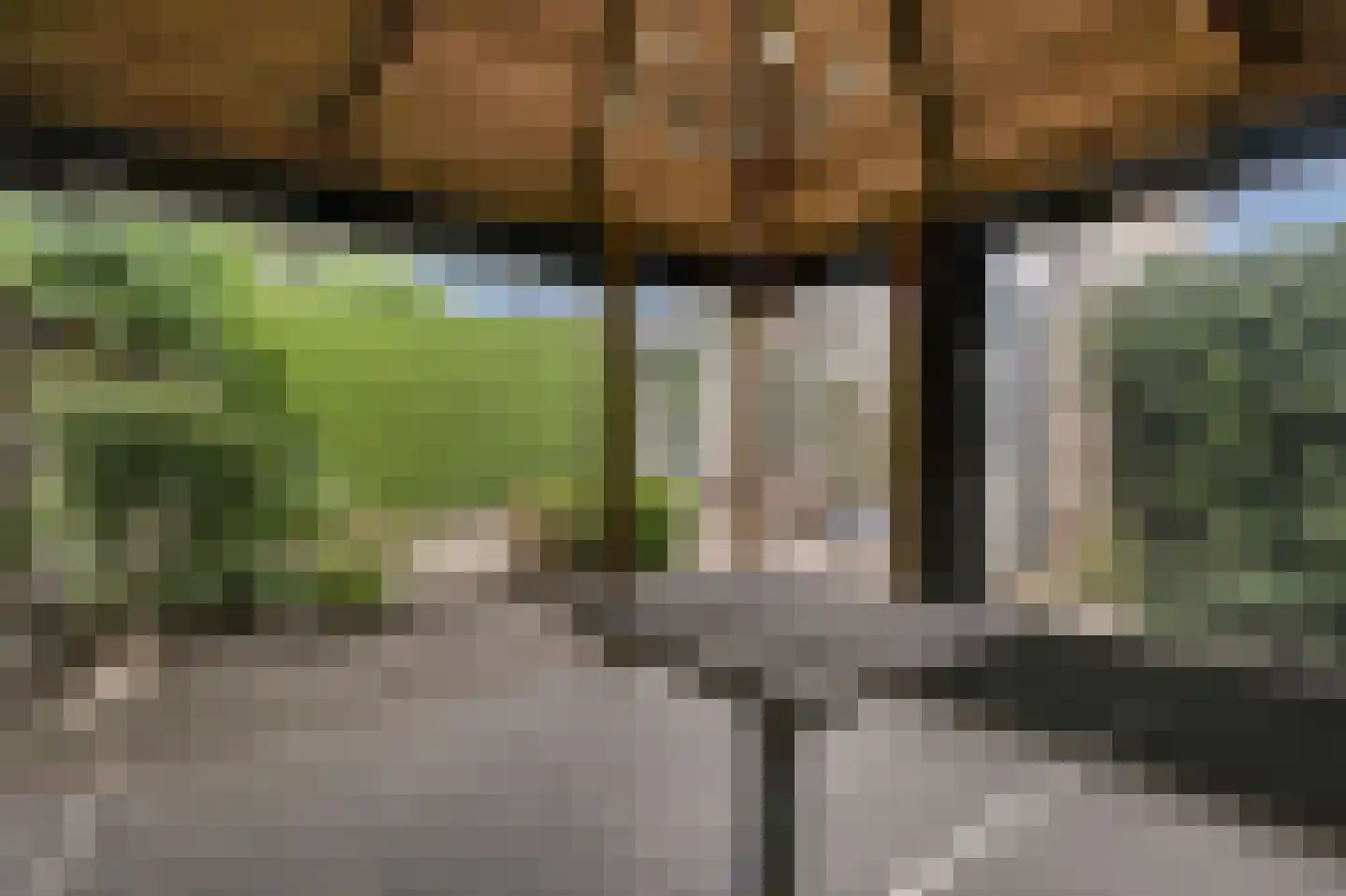 Goudreinette 16 Duiven thumbnail 66