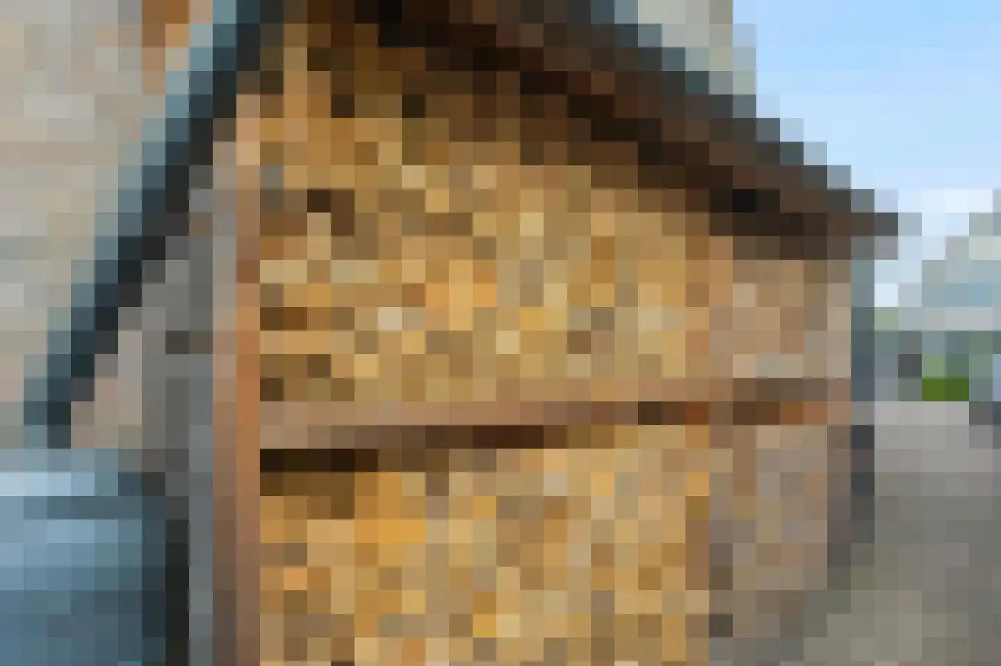 Goudreinette 16 Duiven thumbnail 68