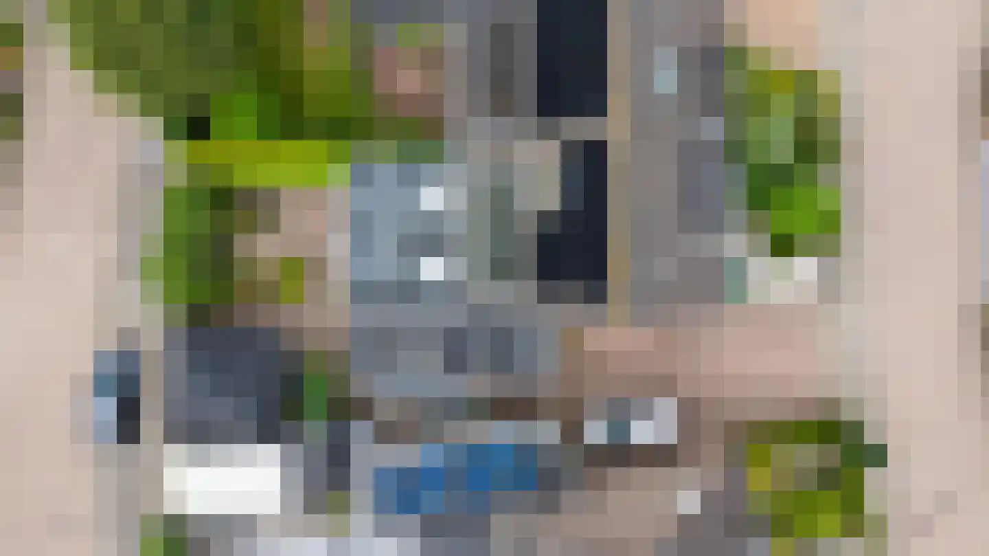 Goudreinette 16 Duiven thumbnail 69