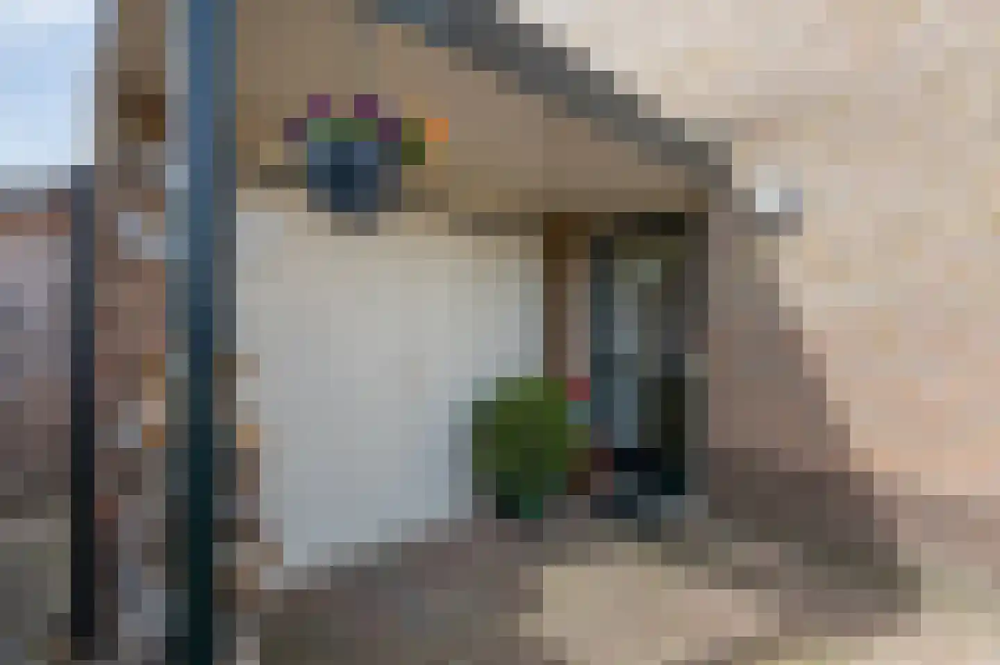 Goudreinette 16 Duiven thumbnail 7