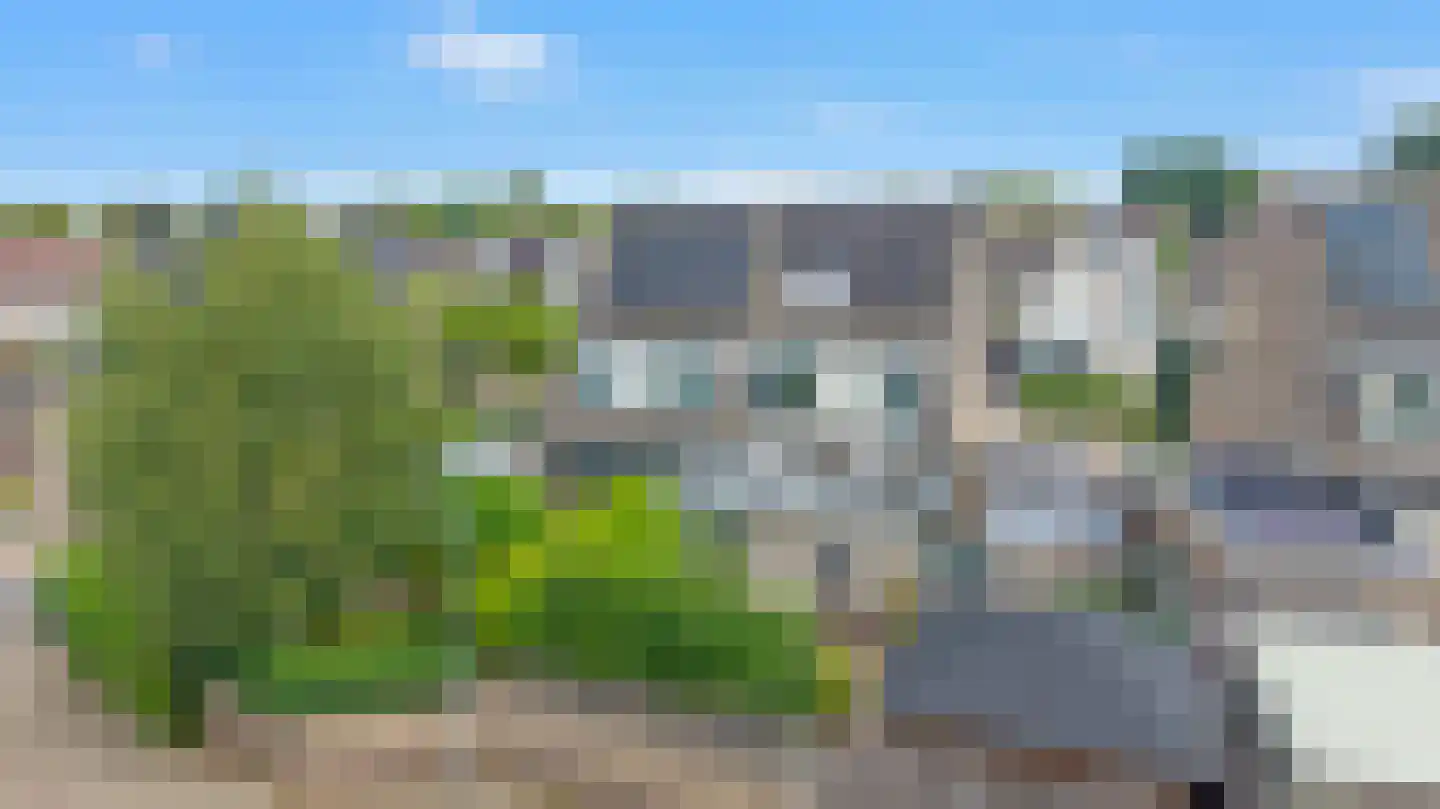 Goudreinette 16 Duiven thumbnail 70