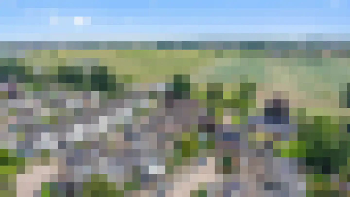 Goudreinette 16 Duiven thumbnail 75