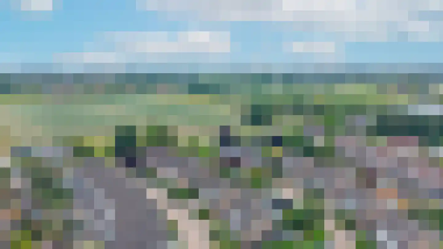 Goudreinette 16 Duiven thumbnail 76