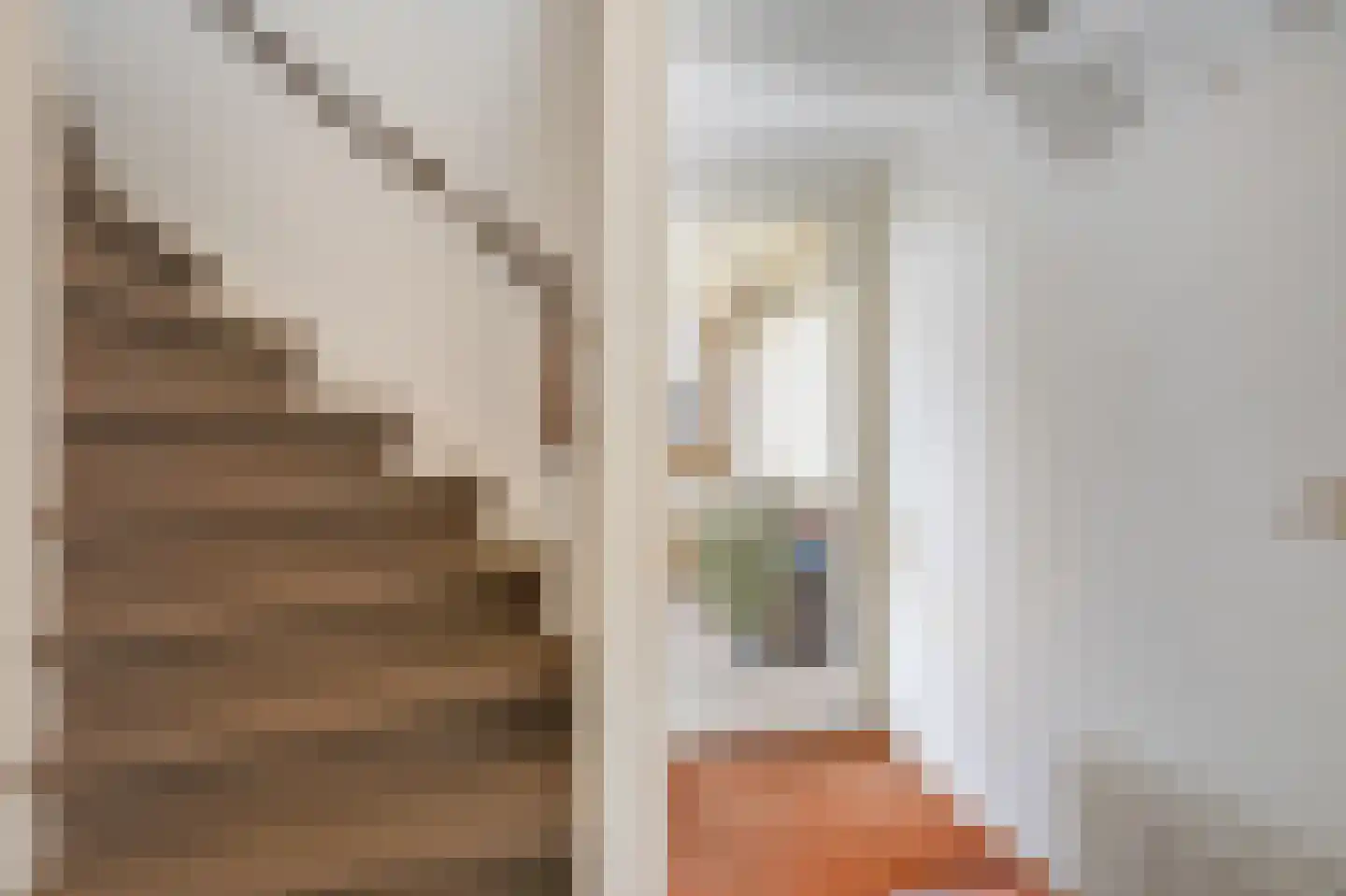 Goudreinette 16 Duiven thumbnail 8