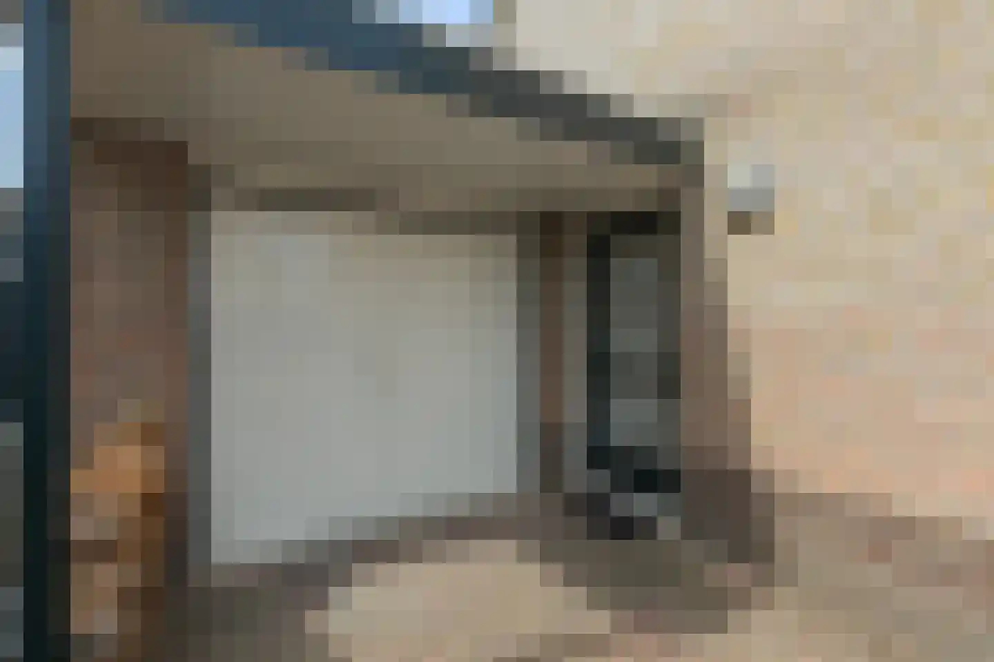 Goudreinette 16 Duiven thumbnail 9